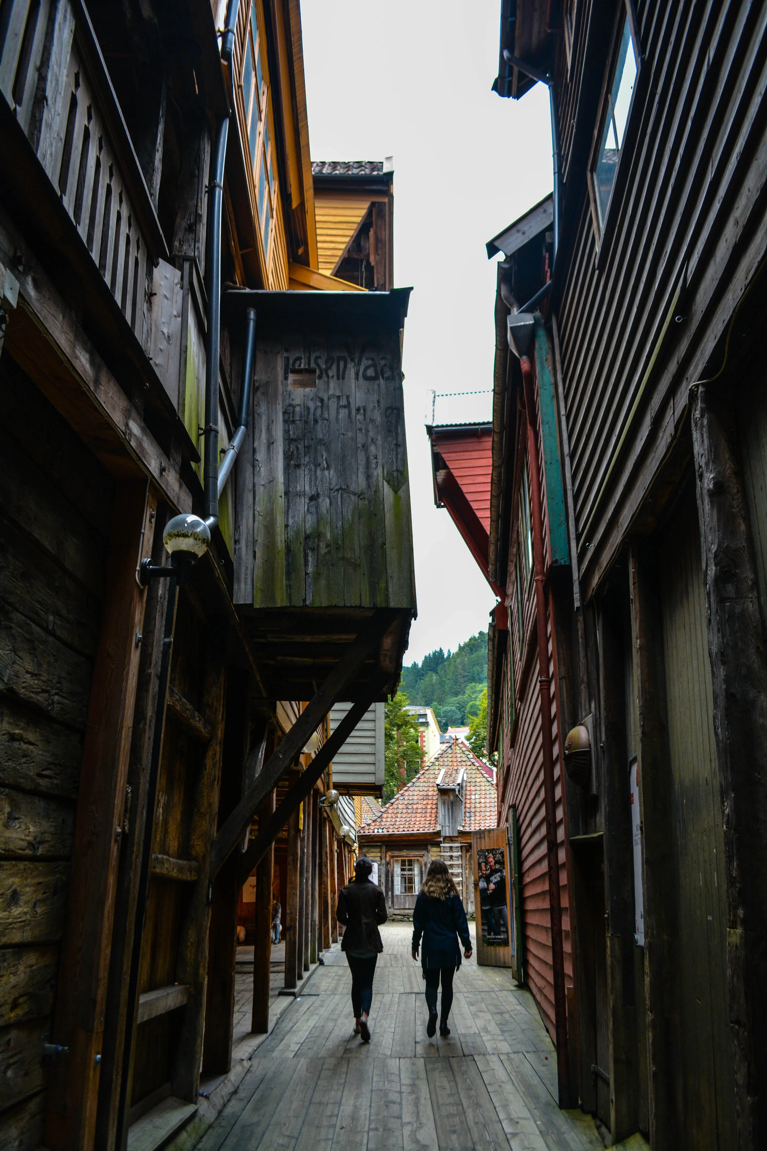 EditedDSC_0090.jpg