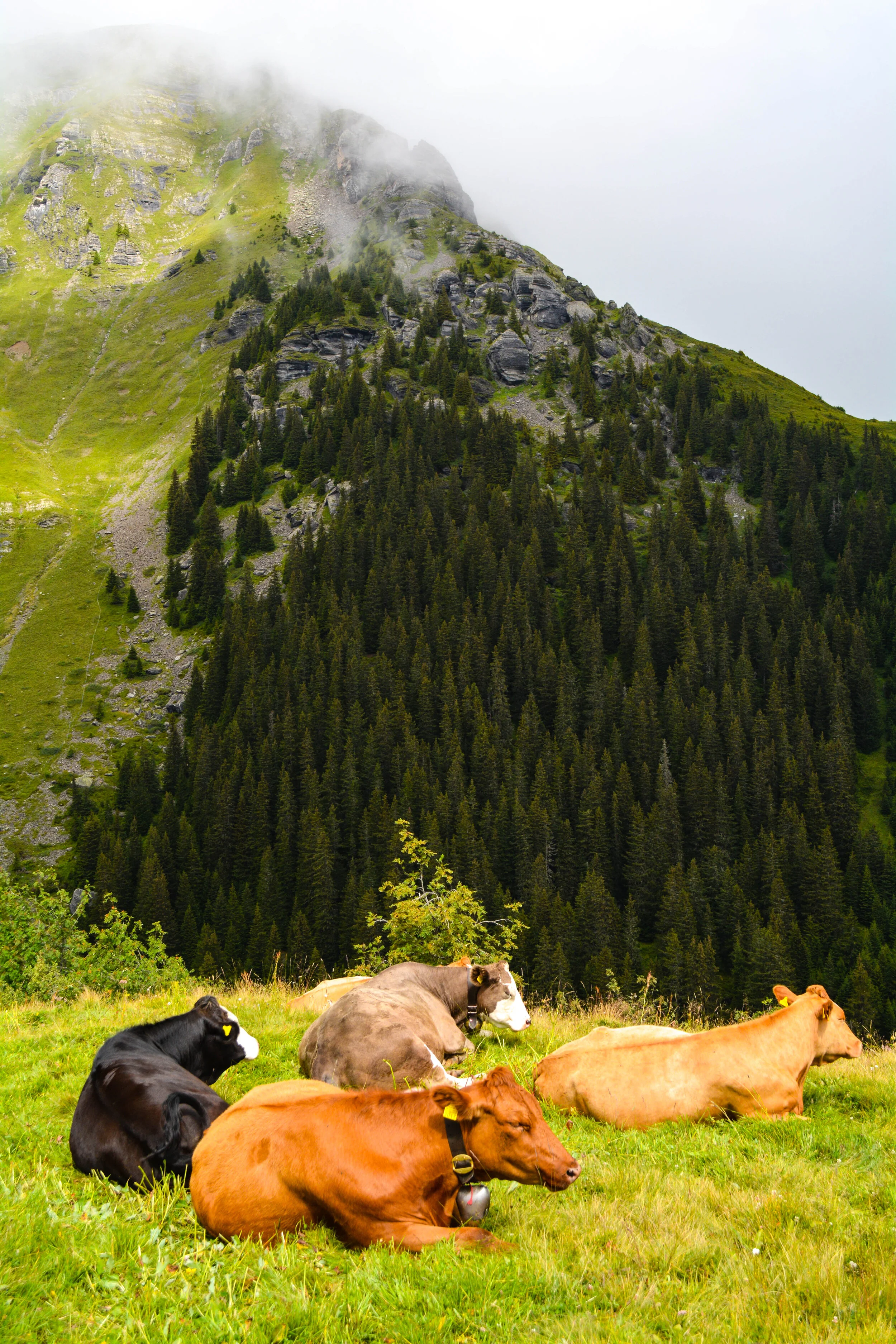 EditedDSC_0655.jpg