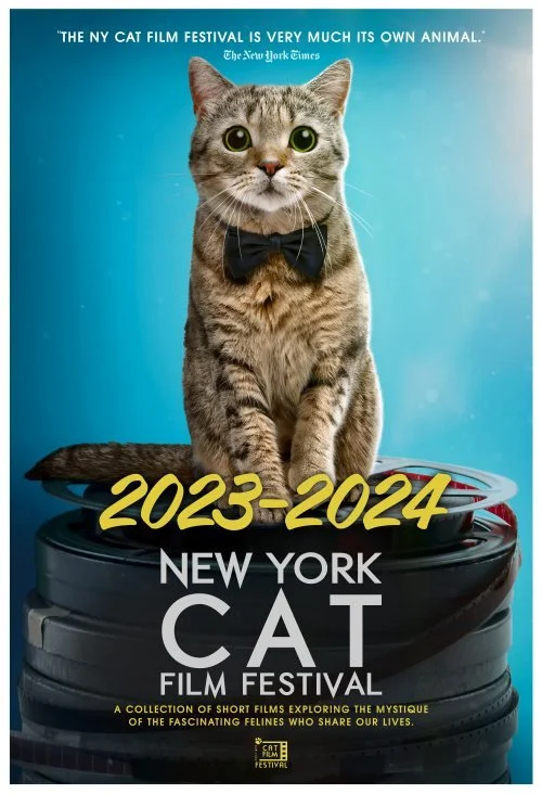 The Cat Film Festival