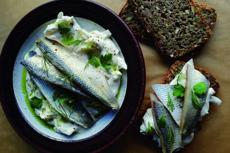 Herring