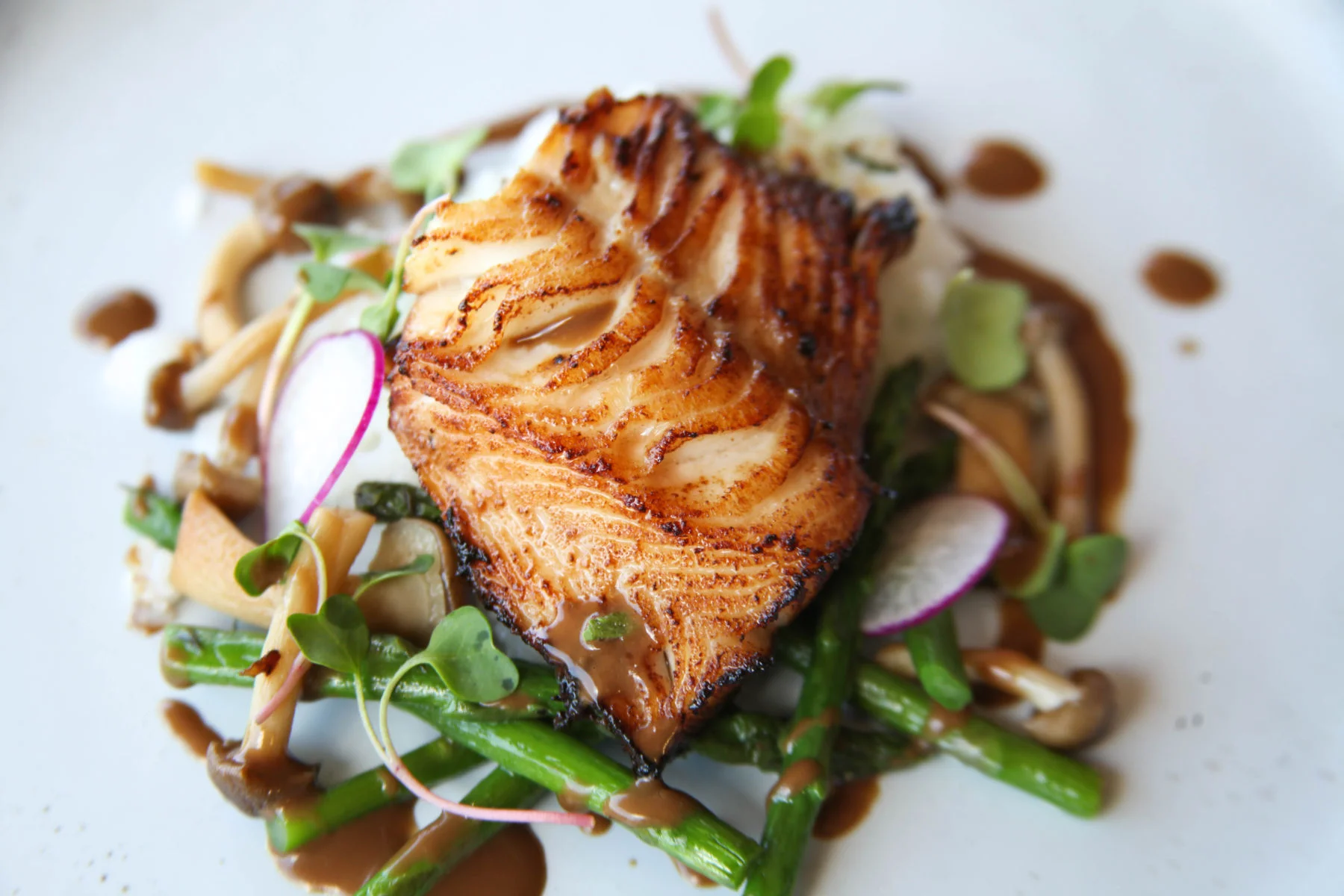 Black Cod