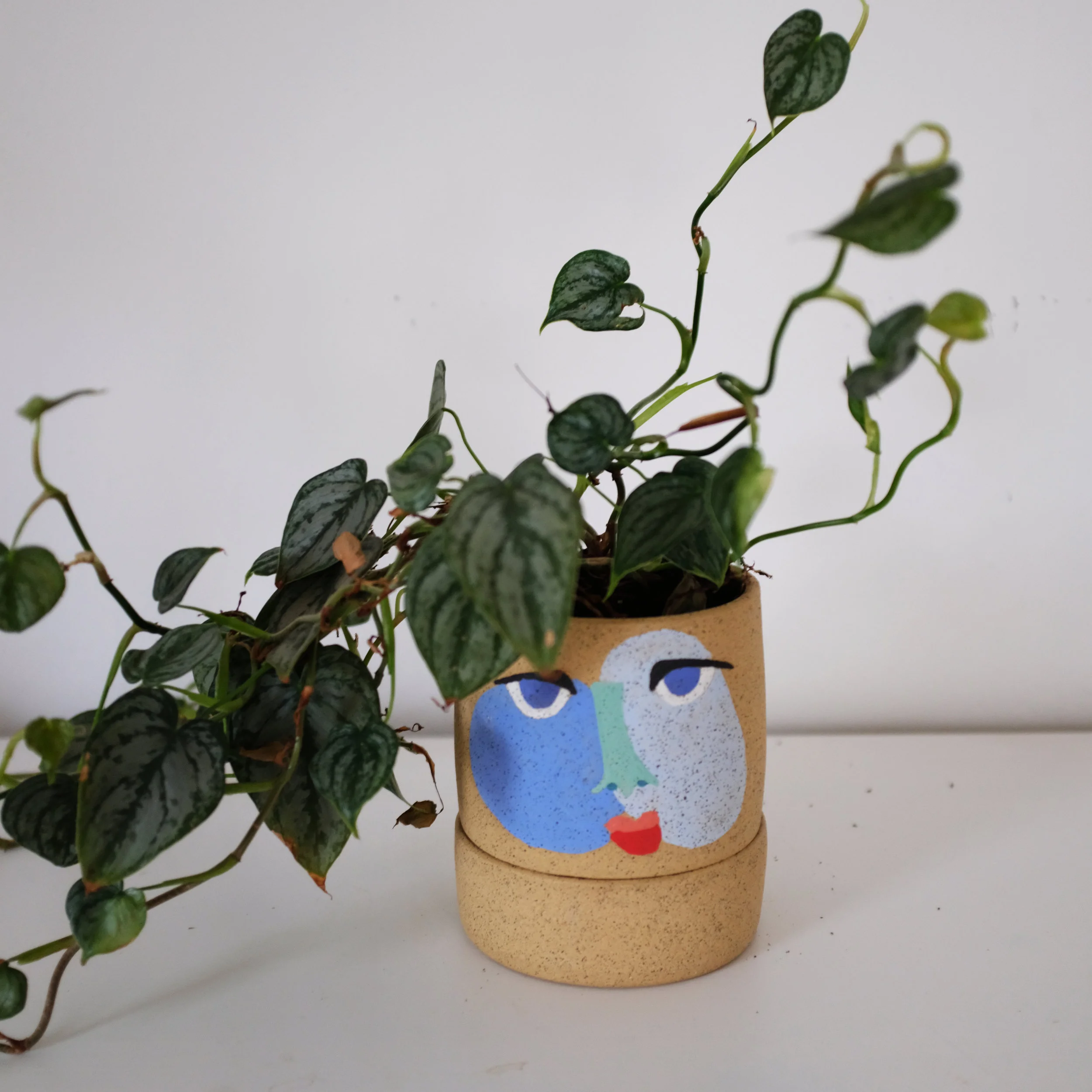 face pot.jpg