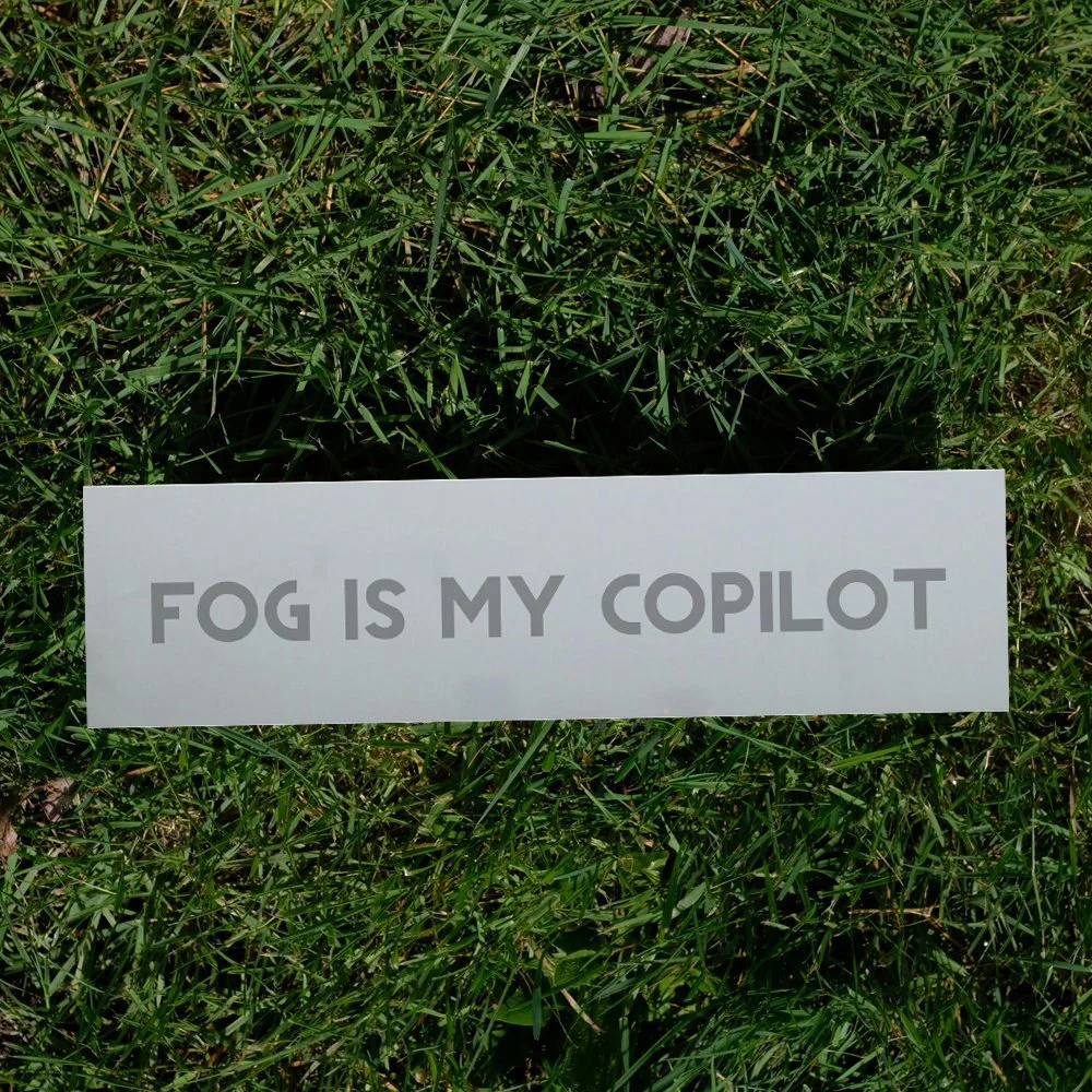 fog is my copilot on grass.jpg