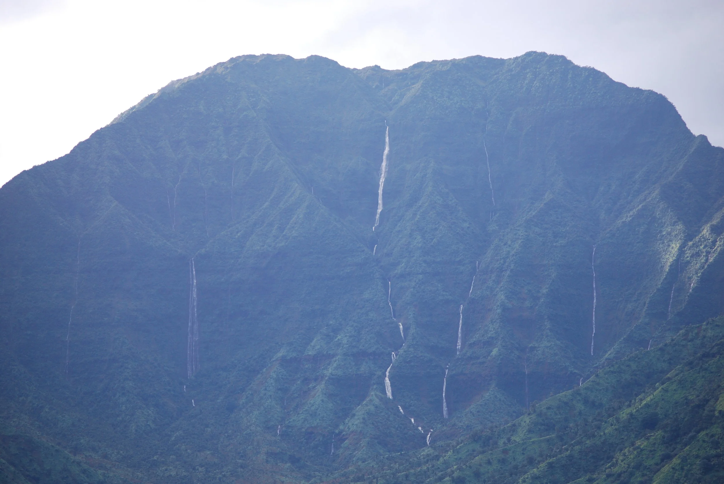 DSC_0339.jpg