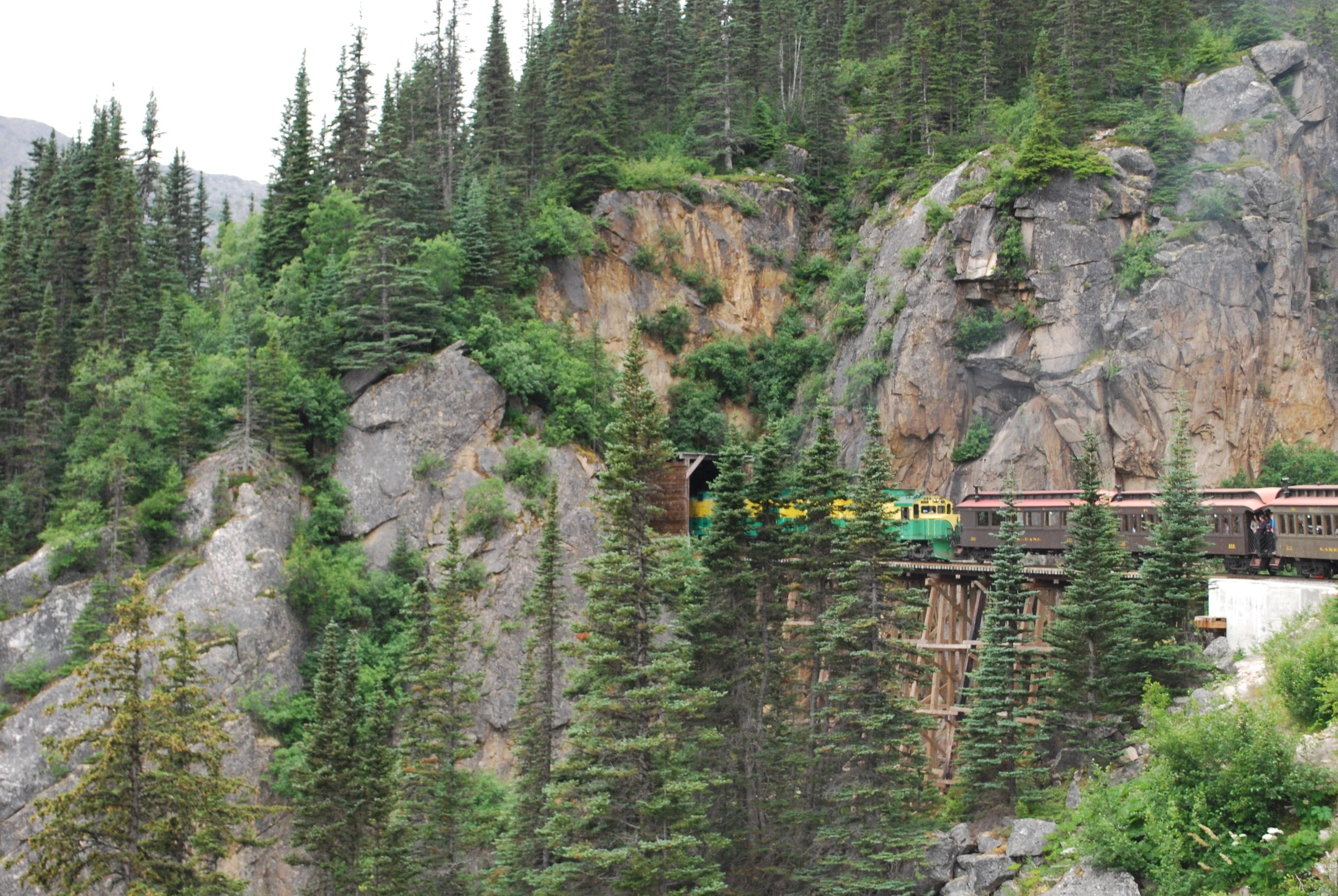 DSC_0278.jpg