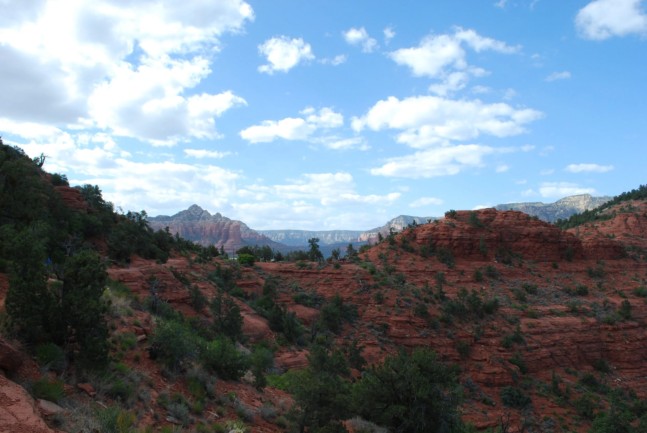 DSC_0095.jpg