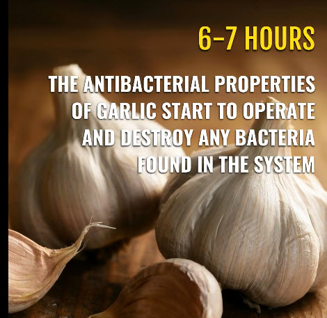 garlic 5.jpg