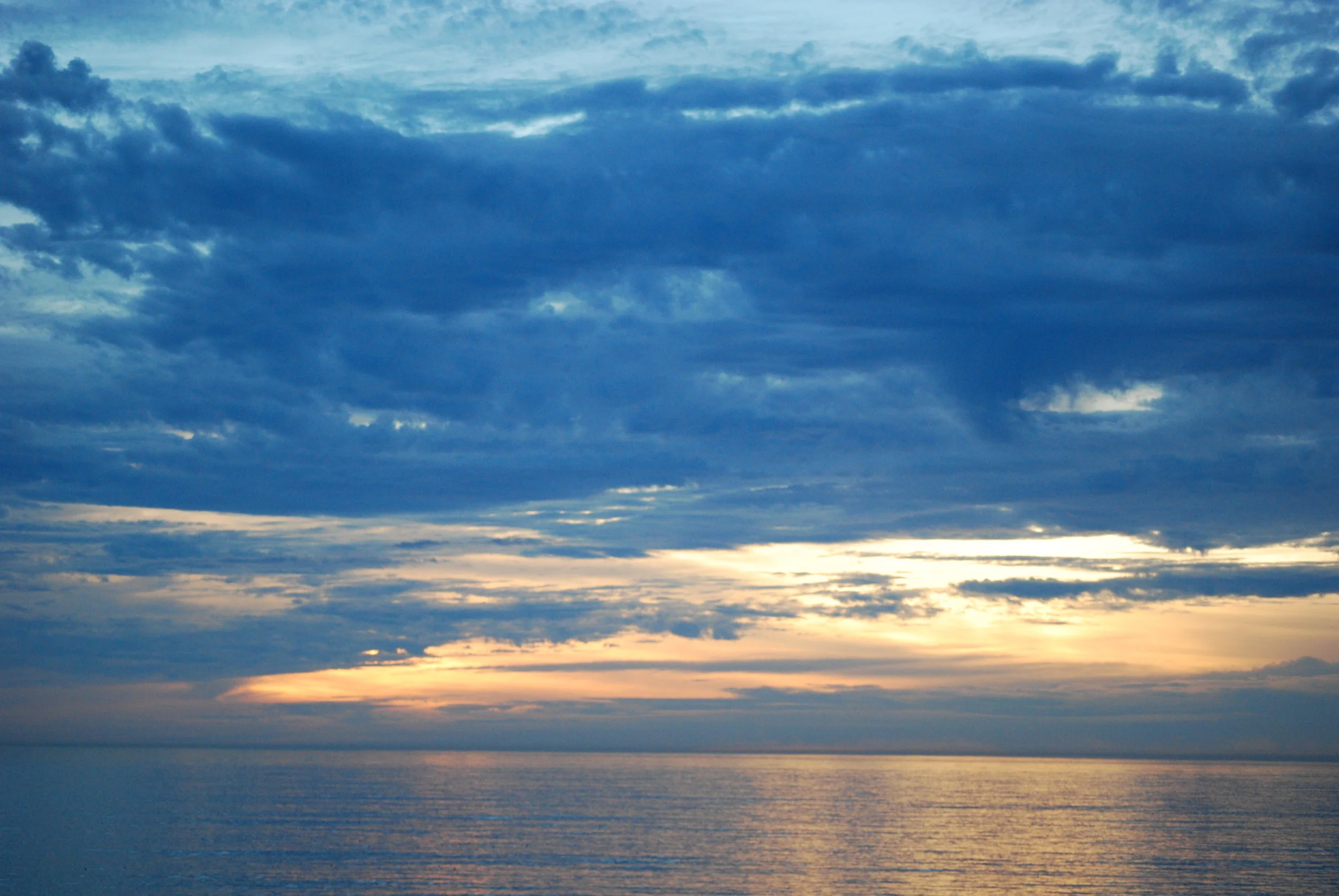 DSC_0438.jpg