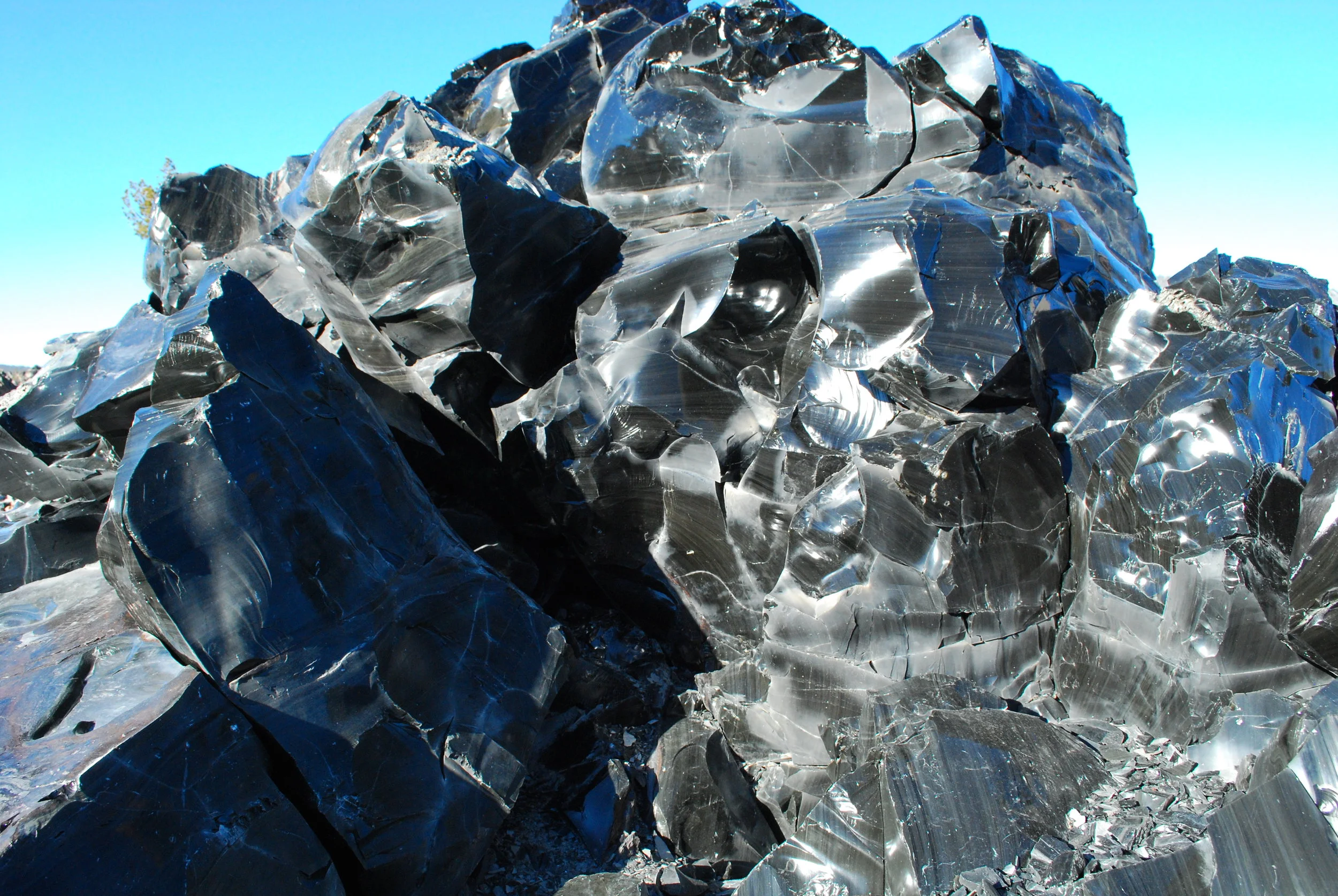 Obsidian Grand Gathering.jpg