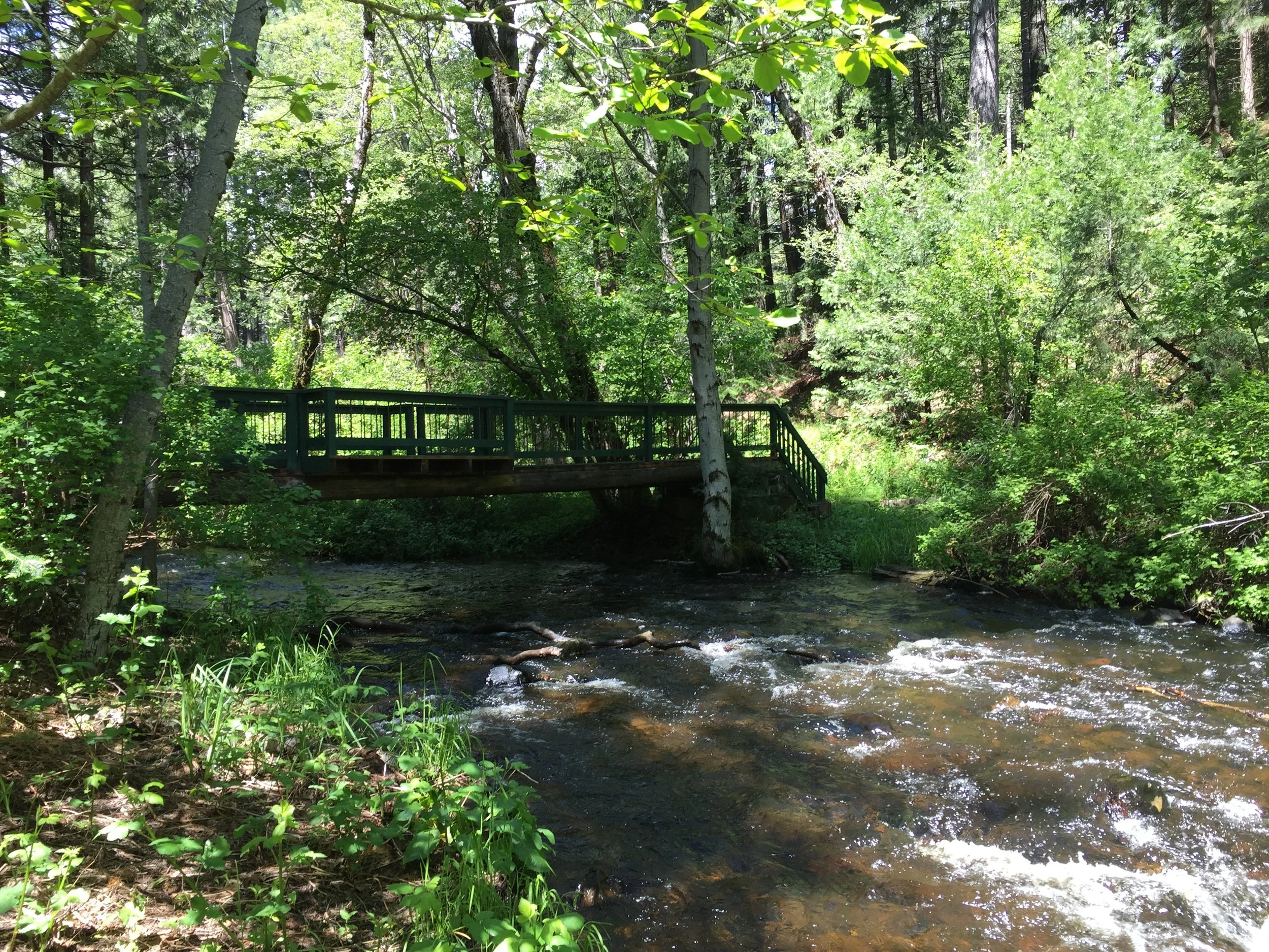 Enjoy an enchanting time on the healing grounds of the Energy is Everything wellness realm.