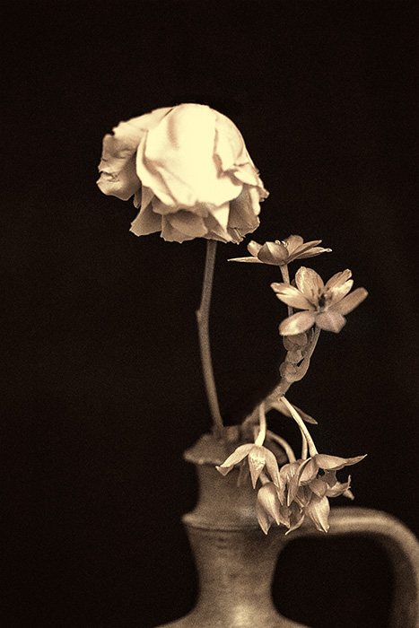 Portfolio 3_Platanias 24.jpg