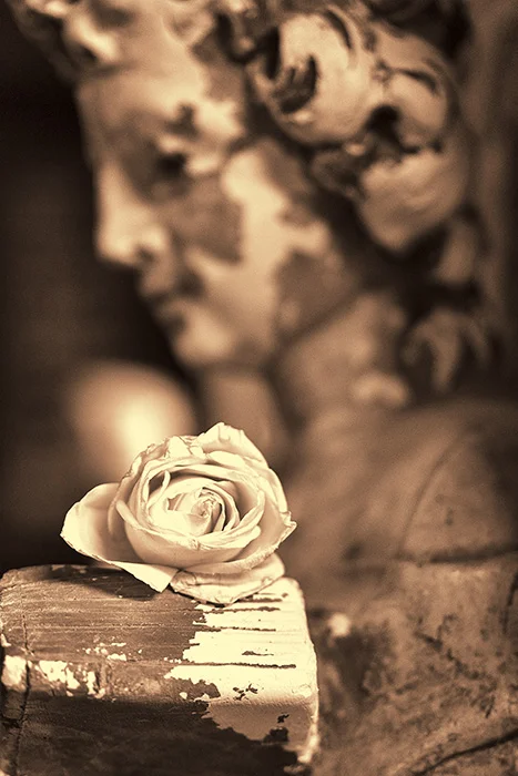 Portfolio 3_Platanias 37.jpg
