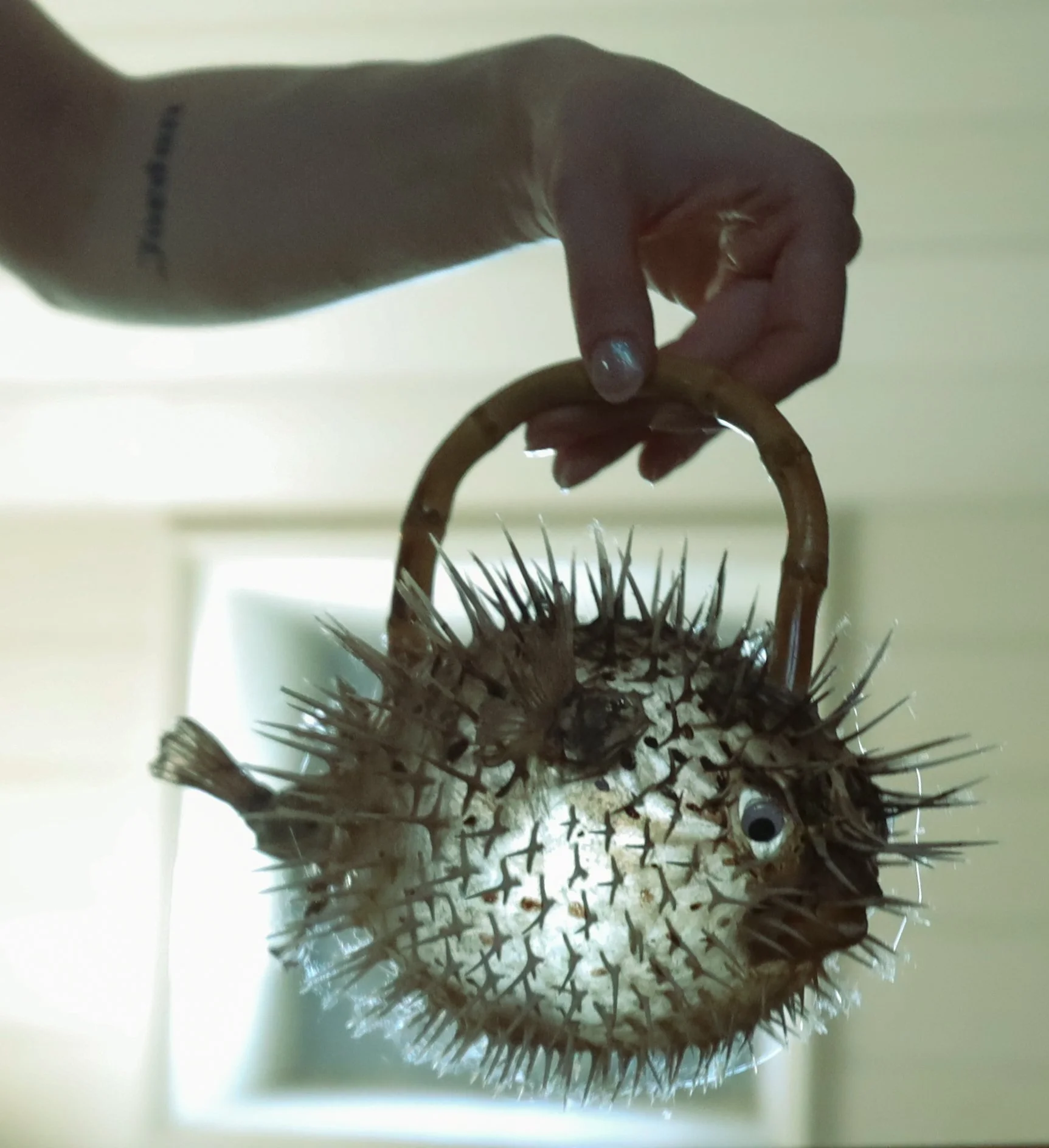 Tyler McGilivary SS26