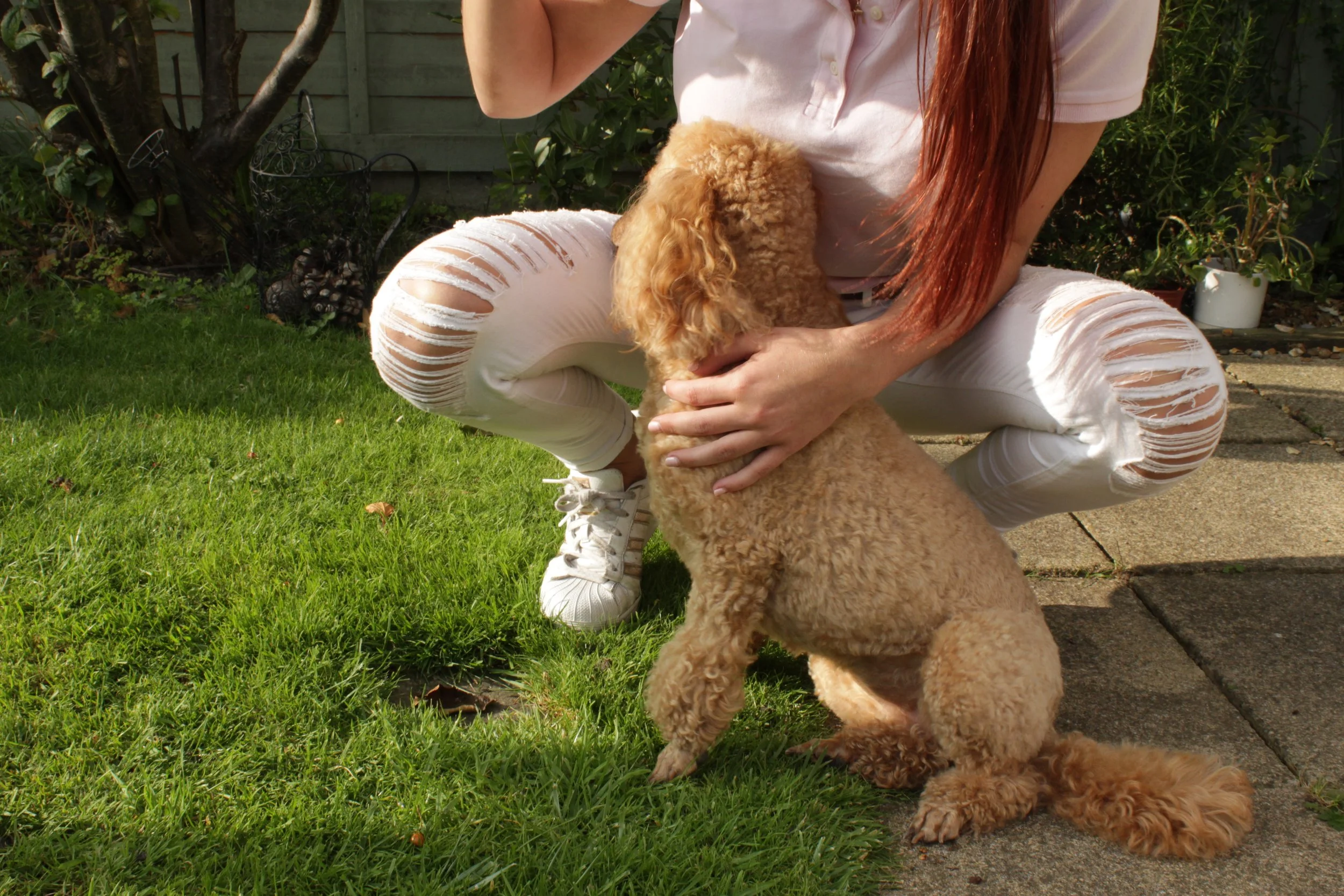 Amber in Newcastle, 2017