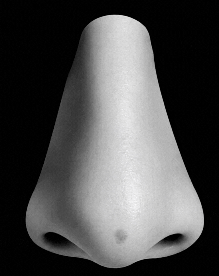 Nose not to scale