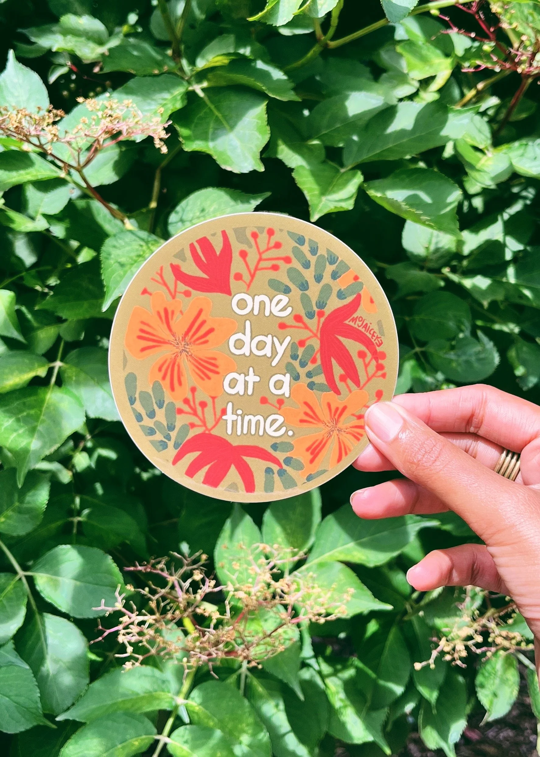 One Day at a Time: 3-Pack