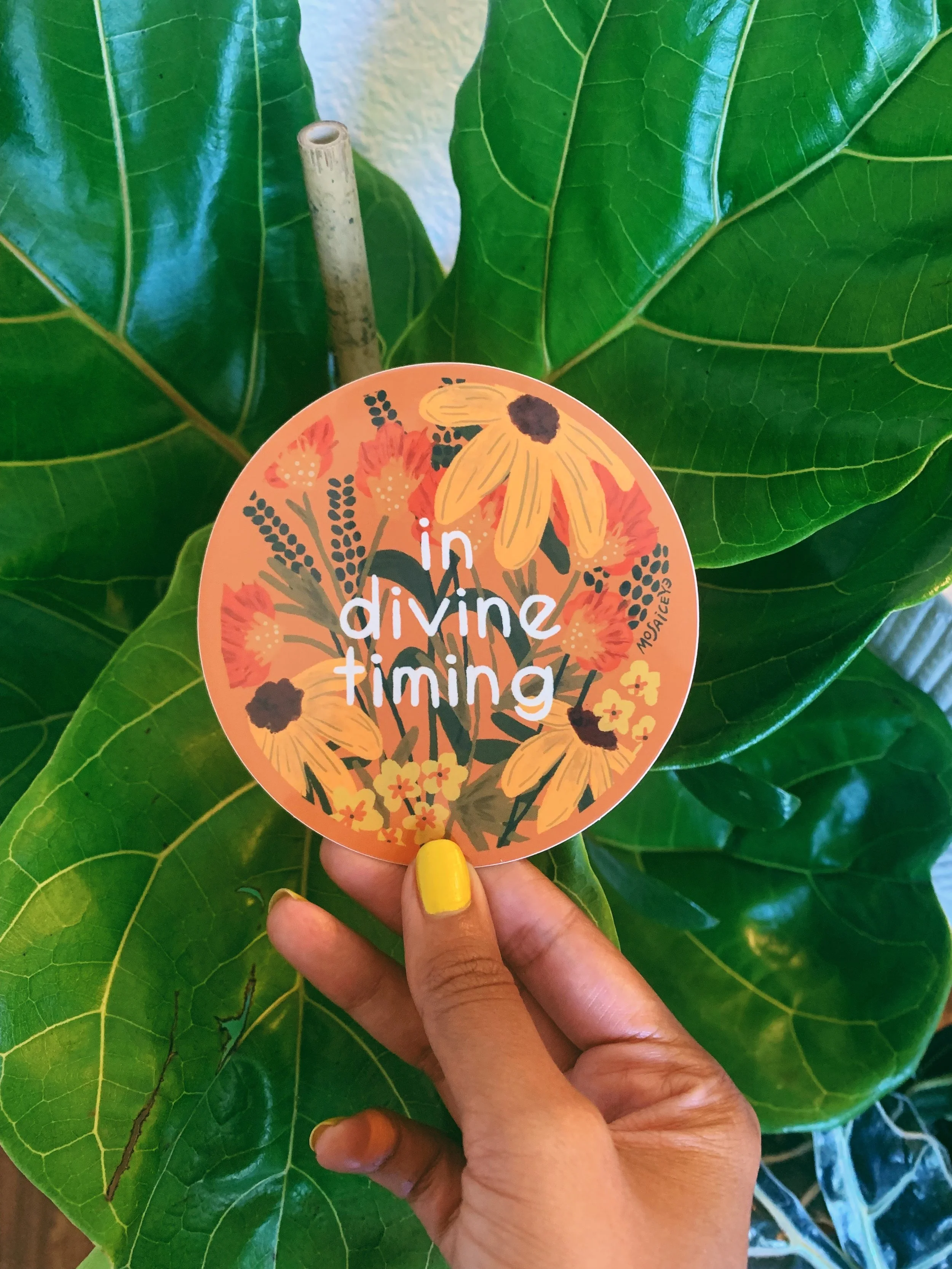 Divine Timing: 3-Pack