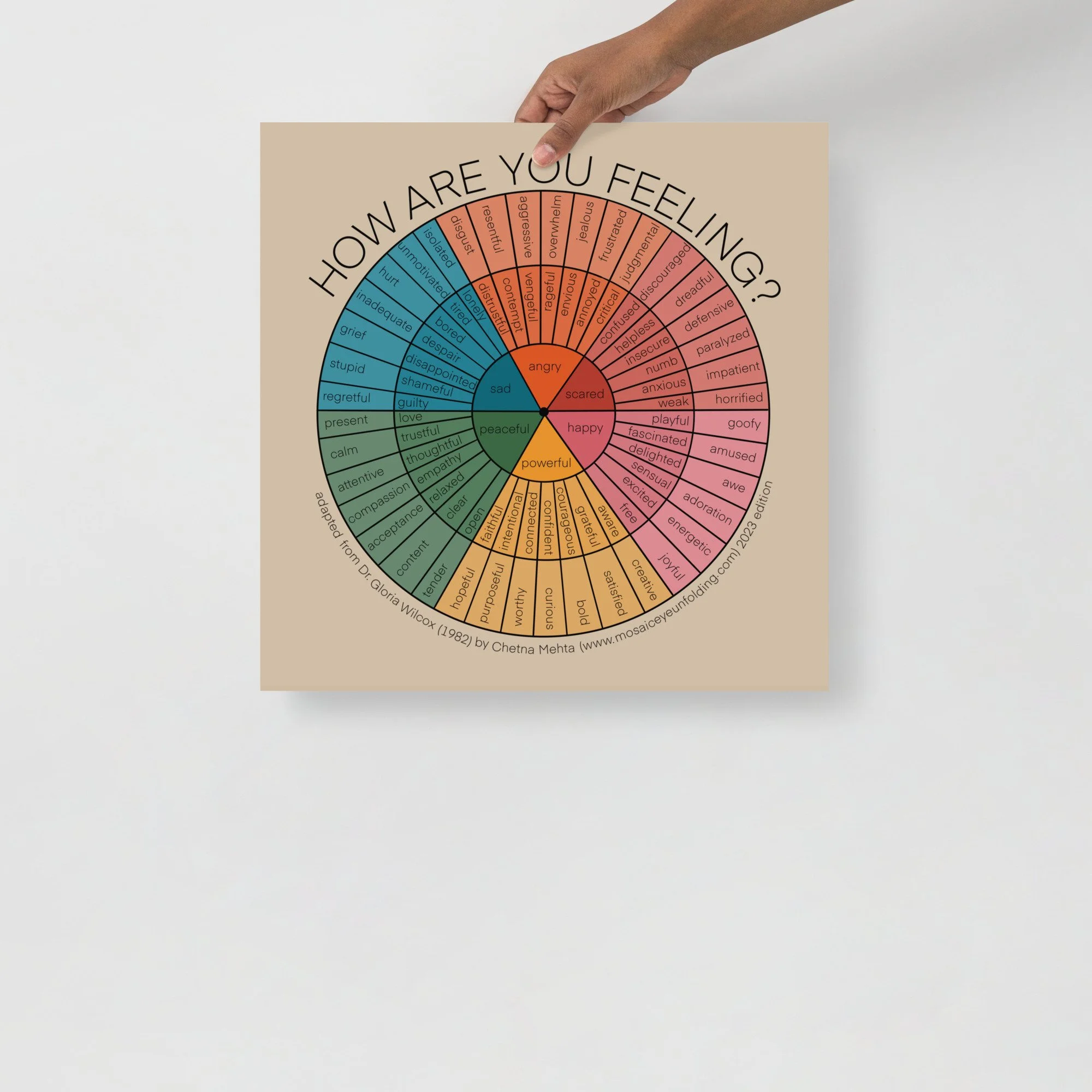 Feelings Wheel Calm