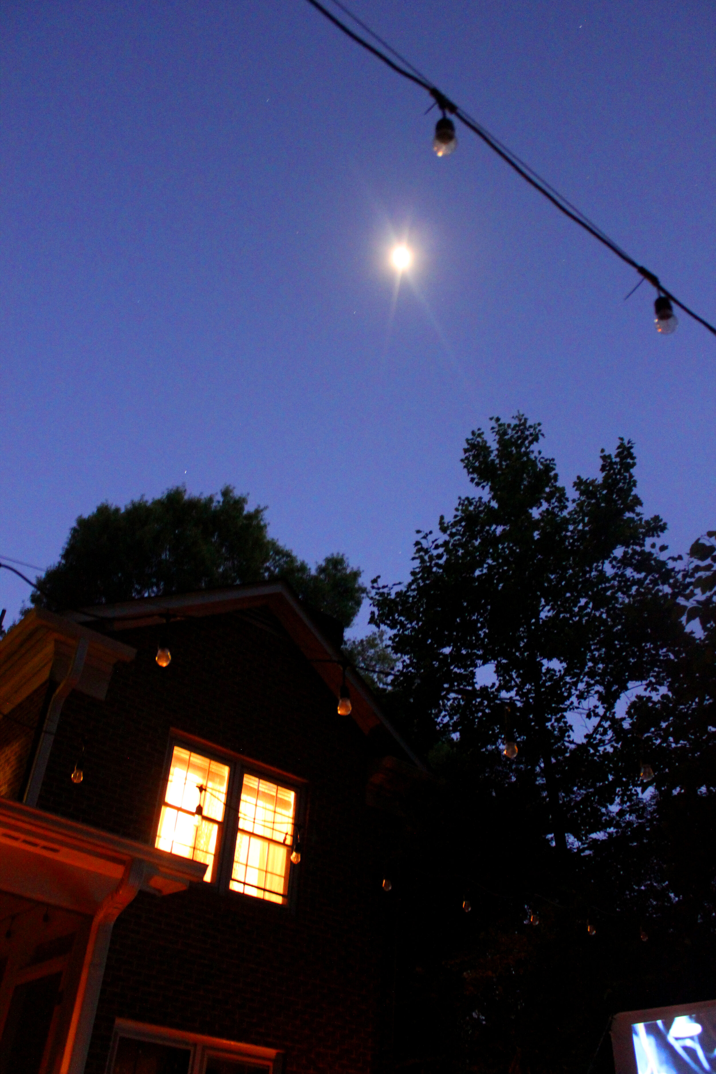 IMG_9919v1.jpg
