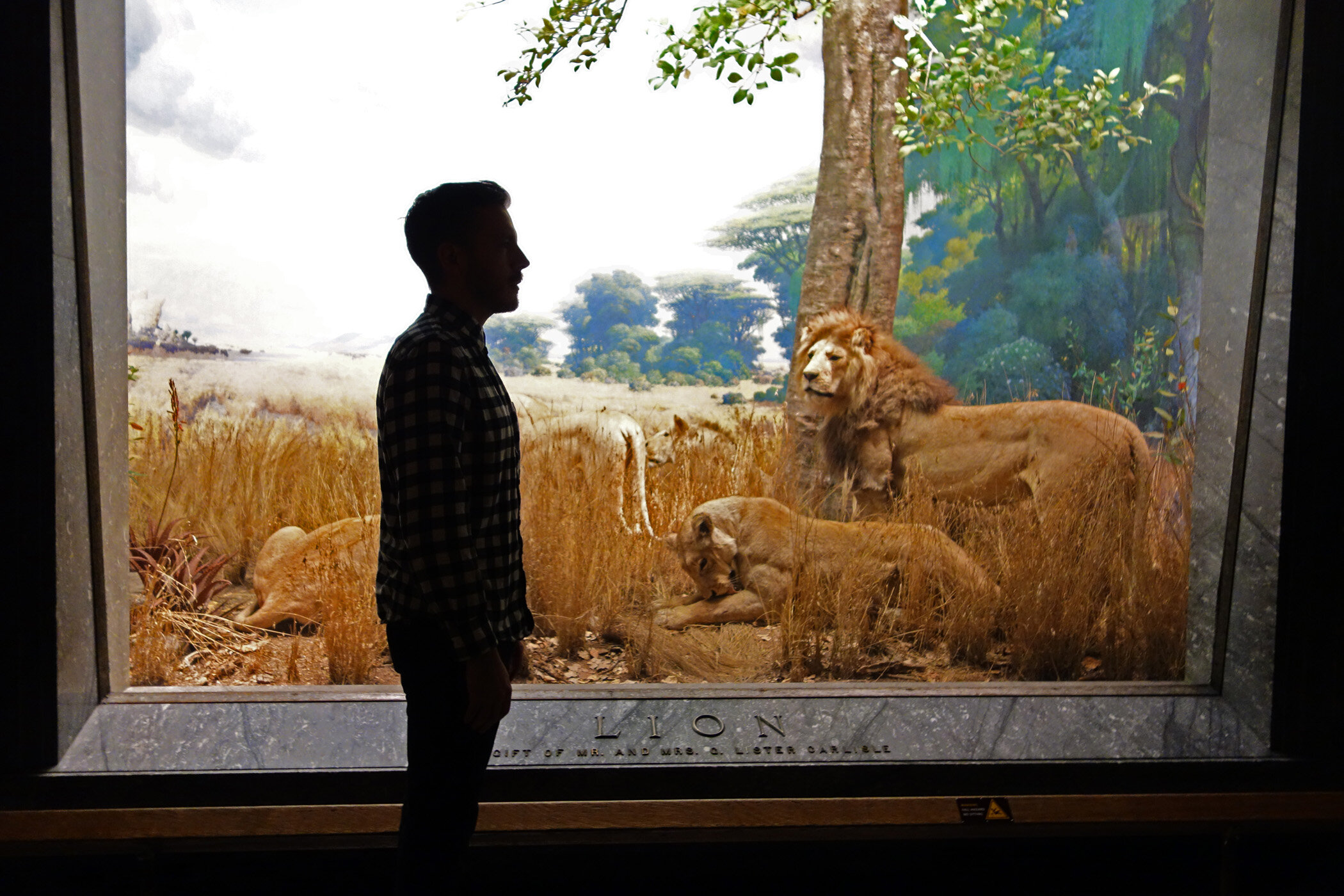 DSC01651_WithLions.jpg