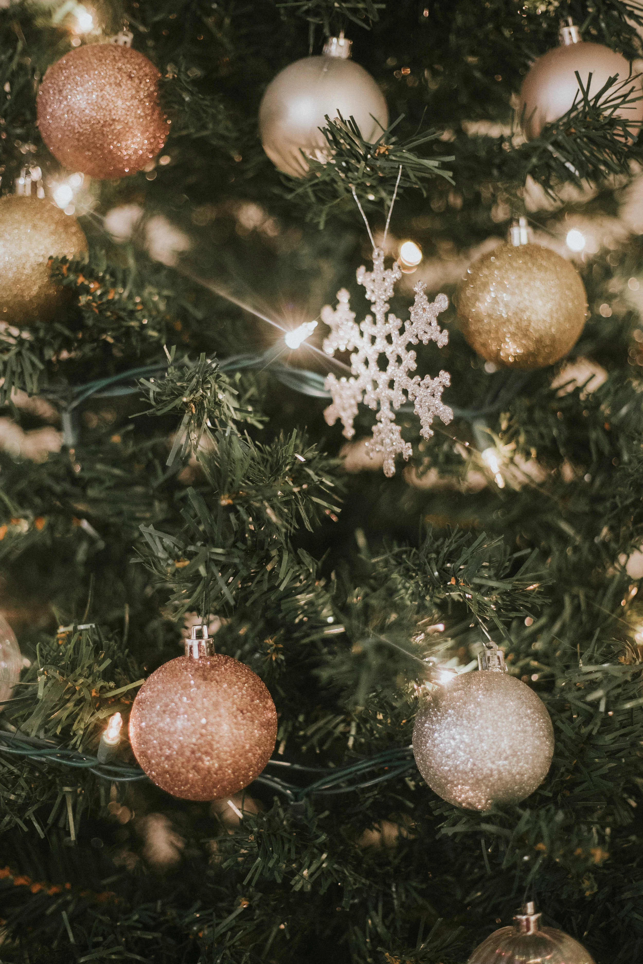 STEPHANIE_CHRISTMAS-80.jpg