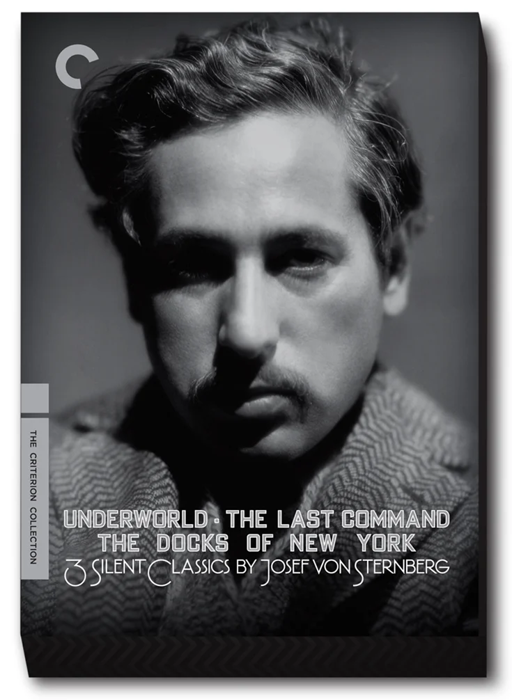 JVS_SLIPCASE_3d.jpg