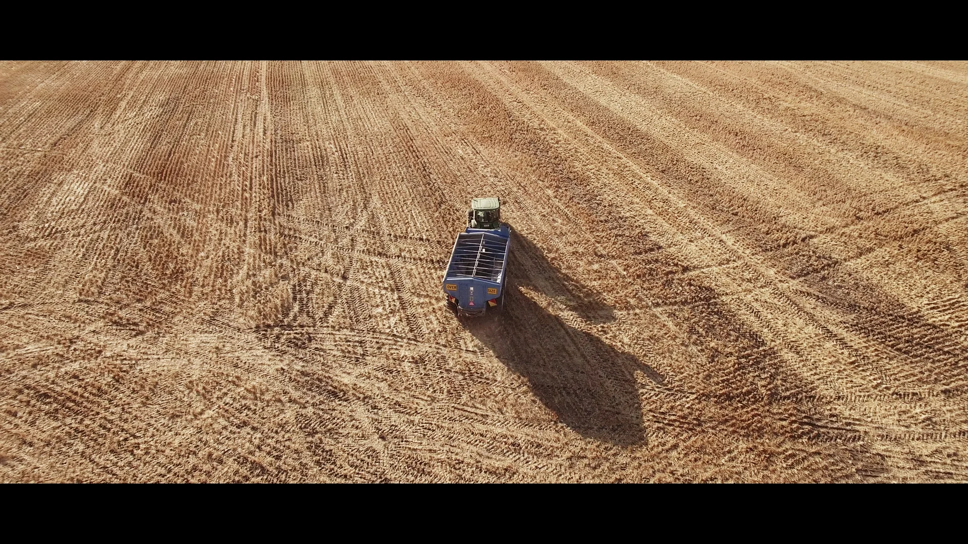 Harvest_1.434.1.jpg