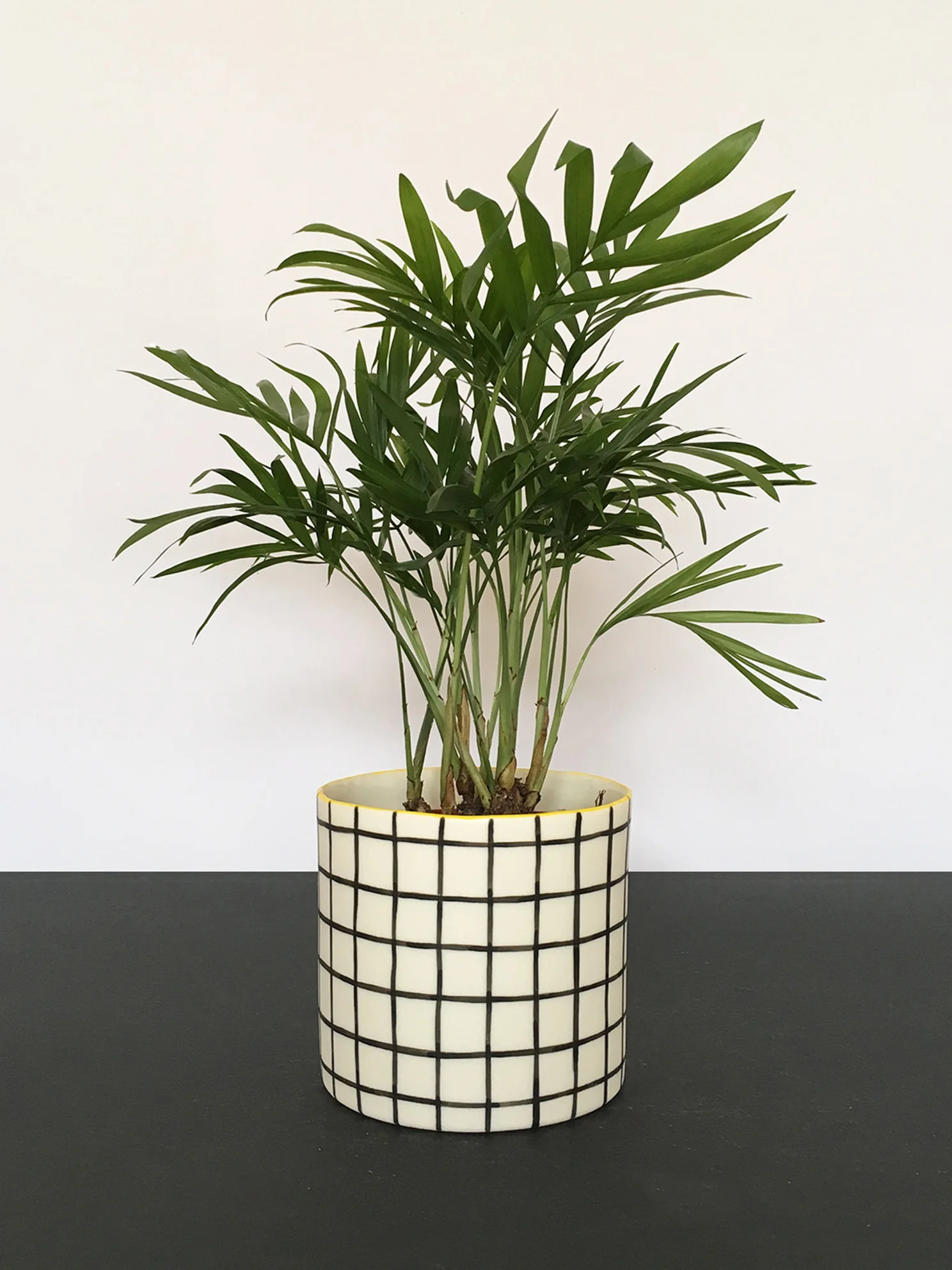 Big Pot - Grid.jpg