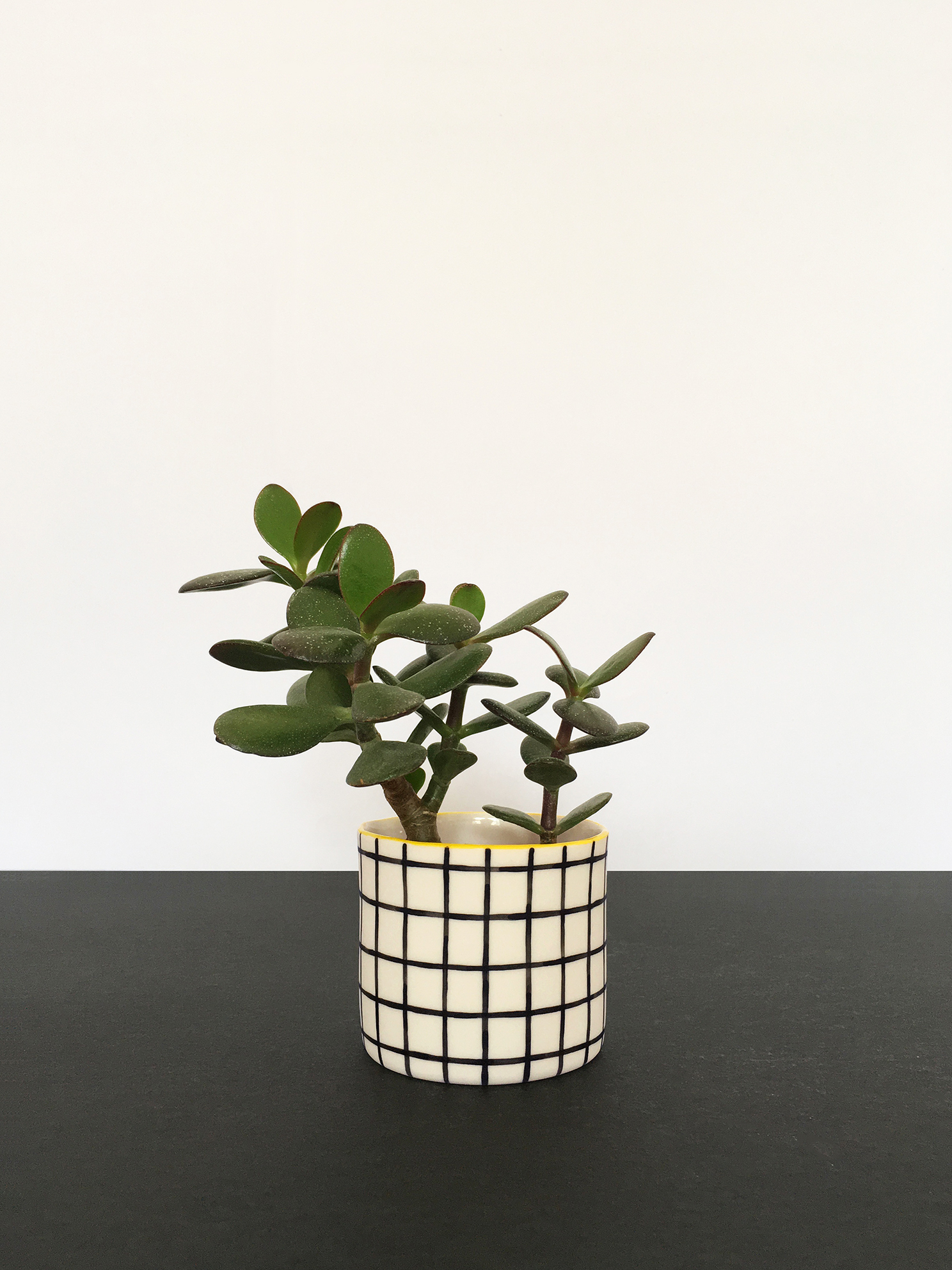 Mid Pot - Grid.jpg
