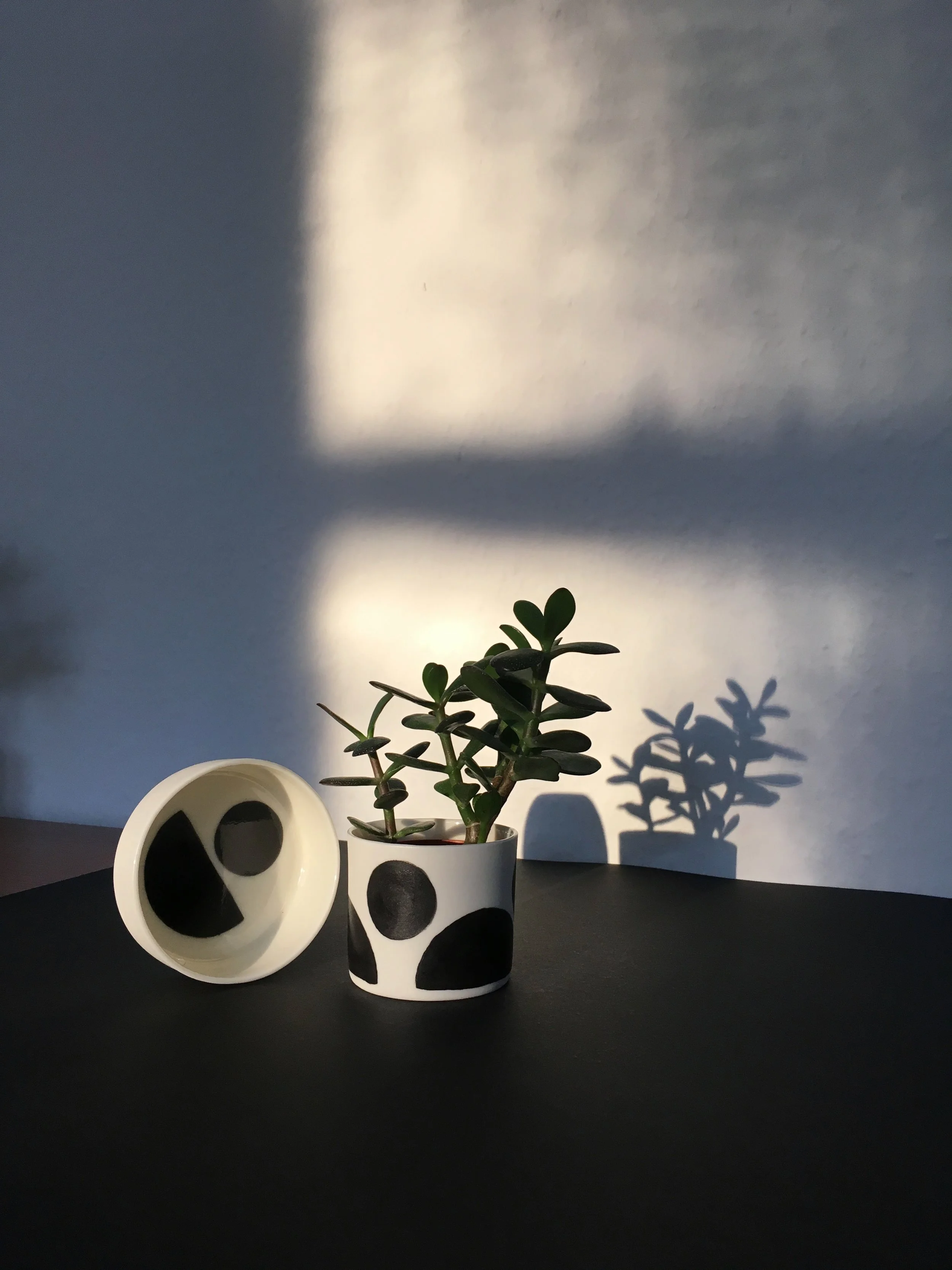 Mimic Shadows.jpg