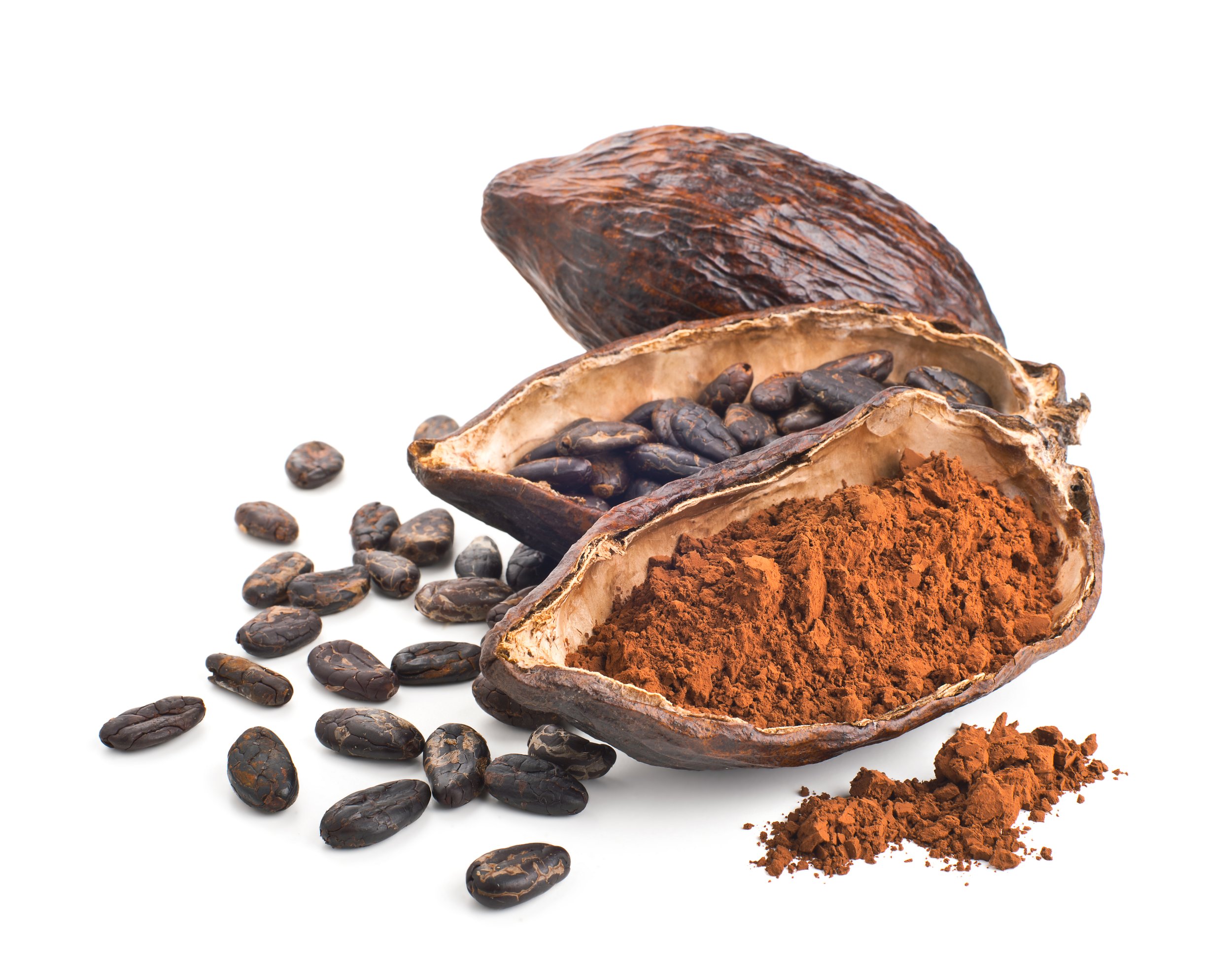 Cocoa extract