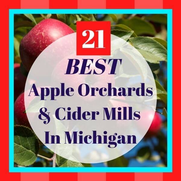 apple orchards in michigan