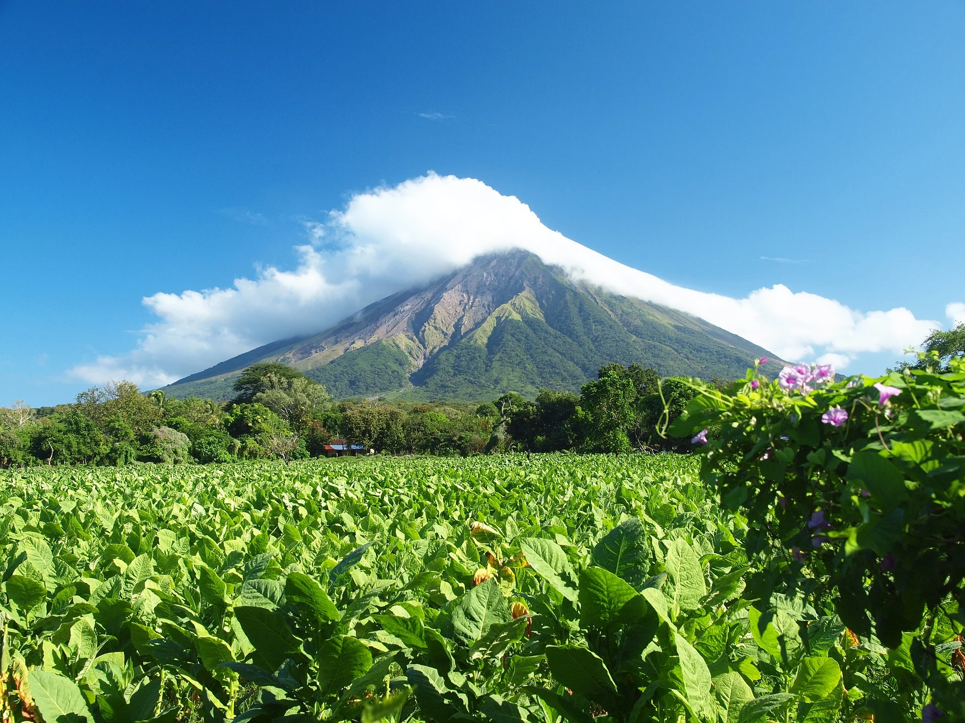 Day 1: Managua & Masaya Volcano