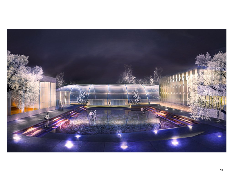 Skating rink/wading pool