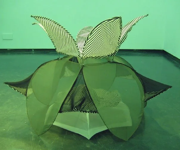 tent-lotus.jpg