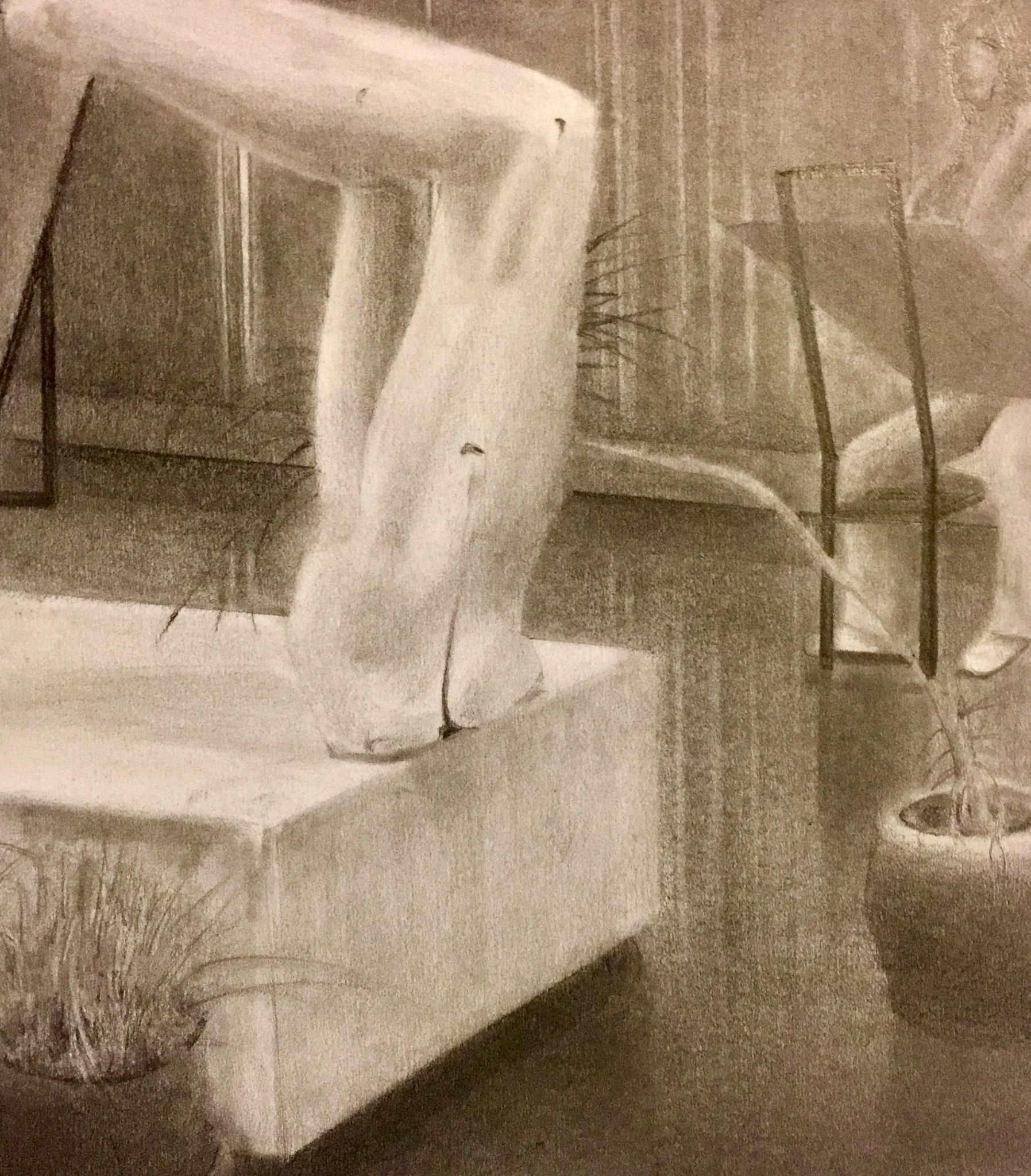 Inversion / Reflection