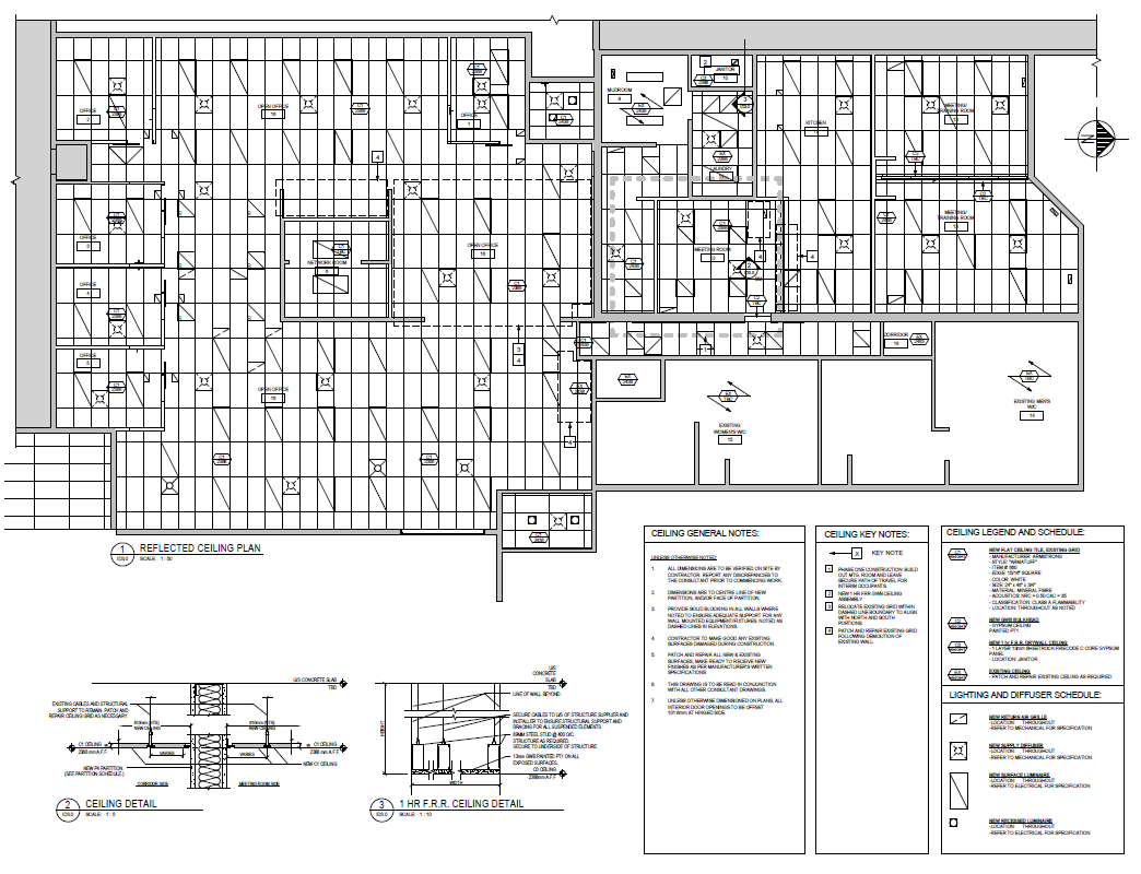 2021-01-26_21-48-21 ceiling plan.png