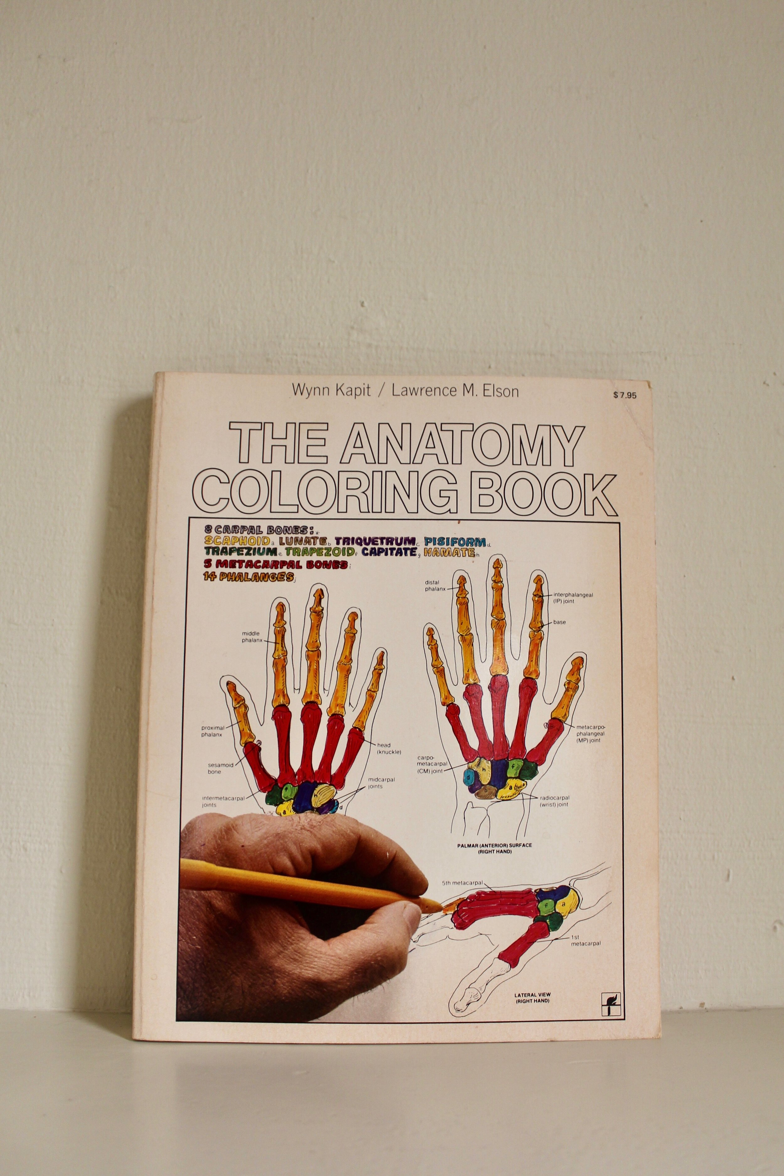The Anatomy Coloring Book 