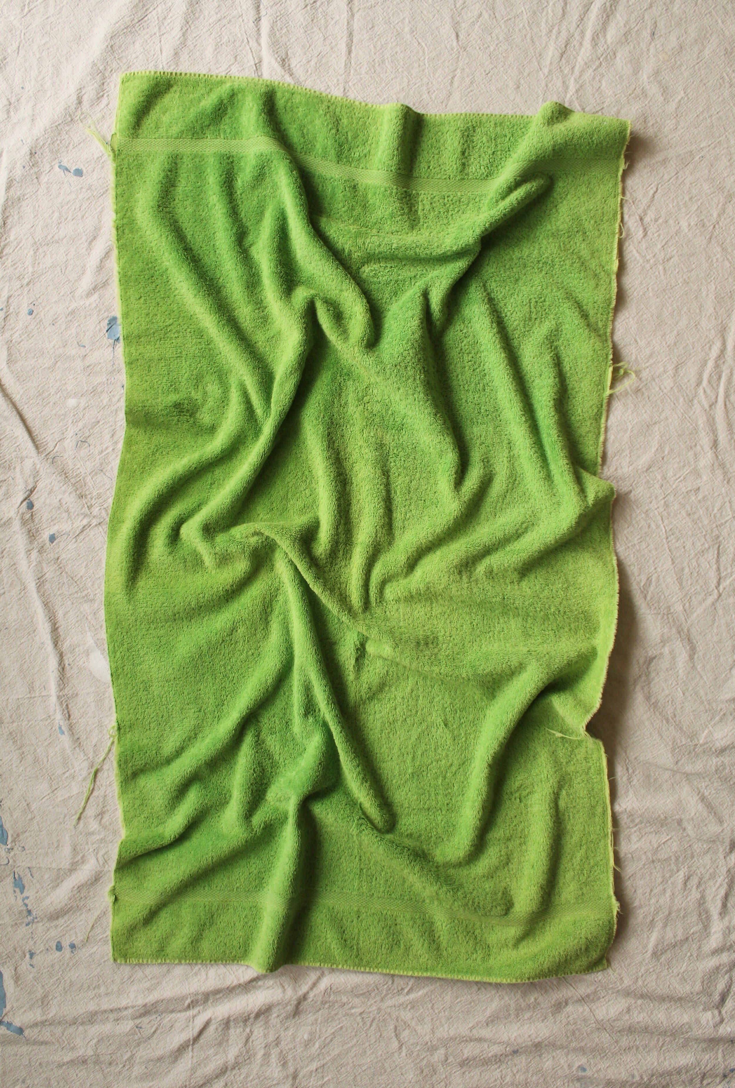 70s kermit towel 