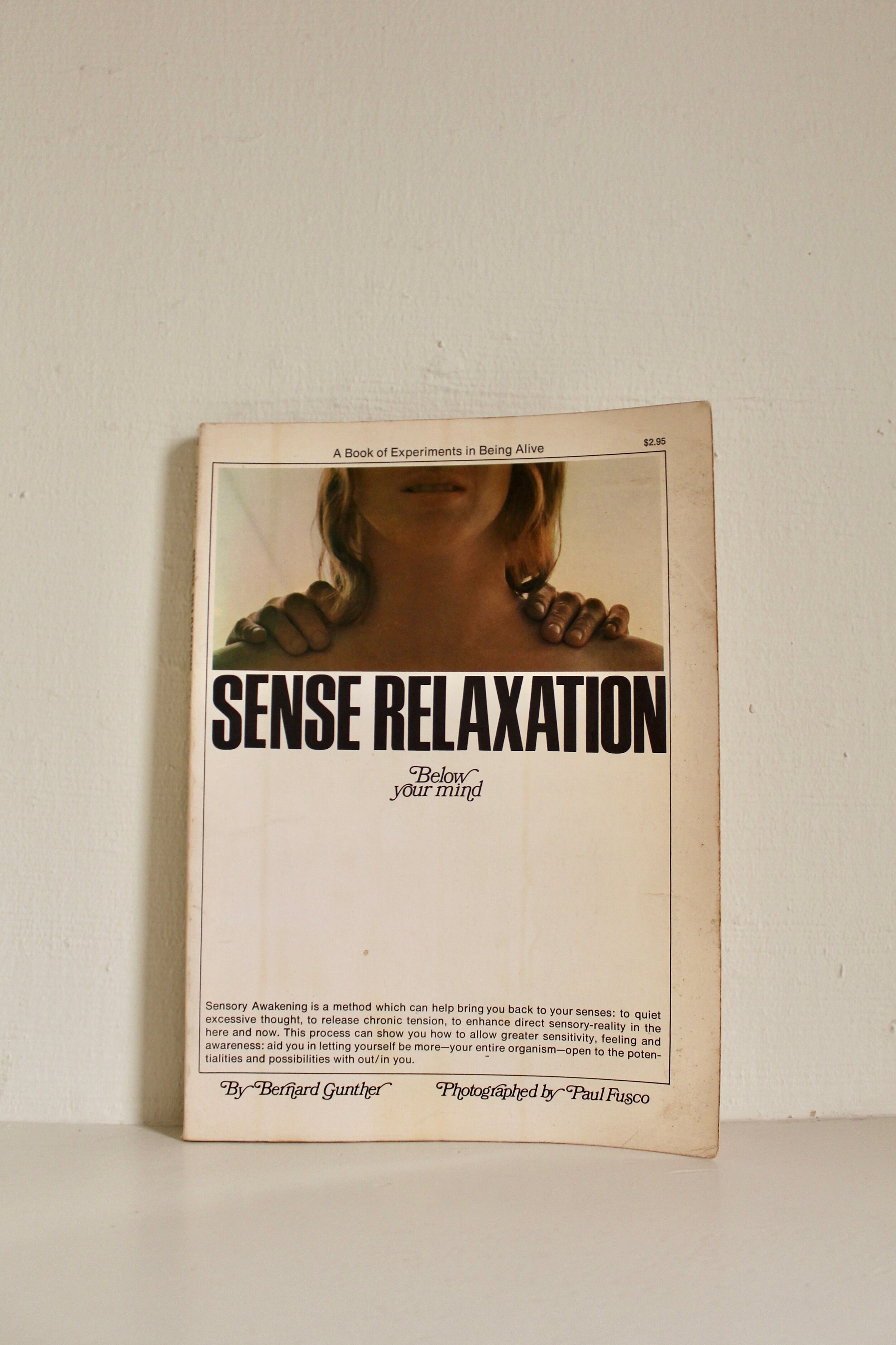 Sense Relaxation: Below Your Mind 