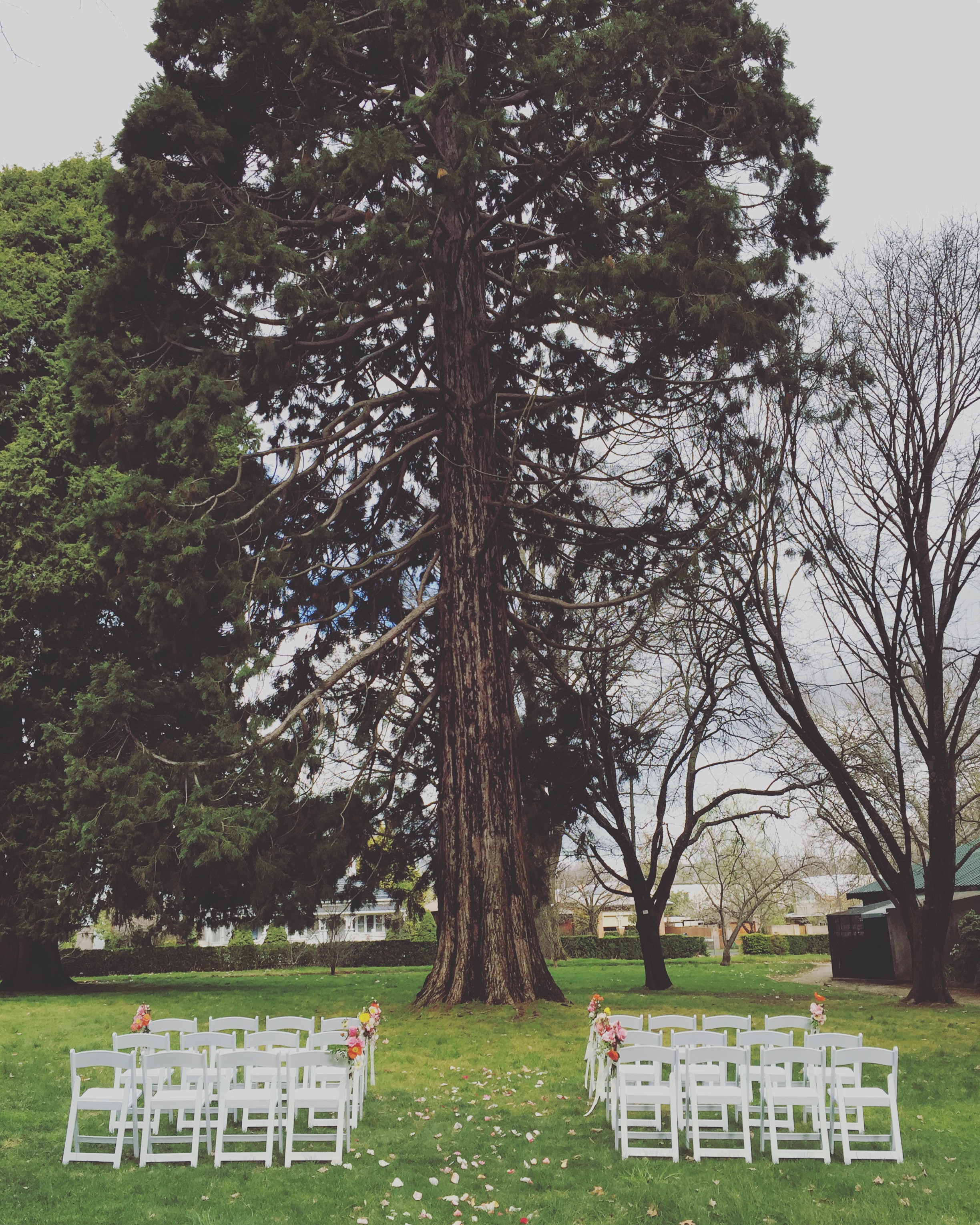 Cat & Dan // Photo by Bespoke Country Weddings