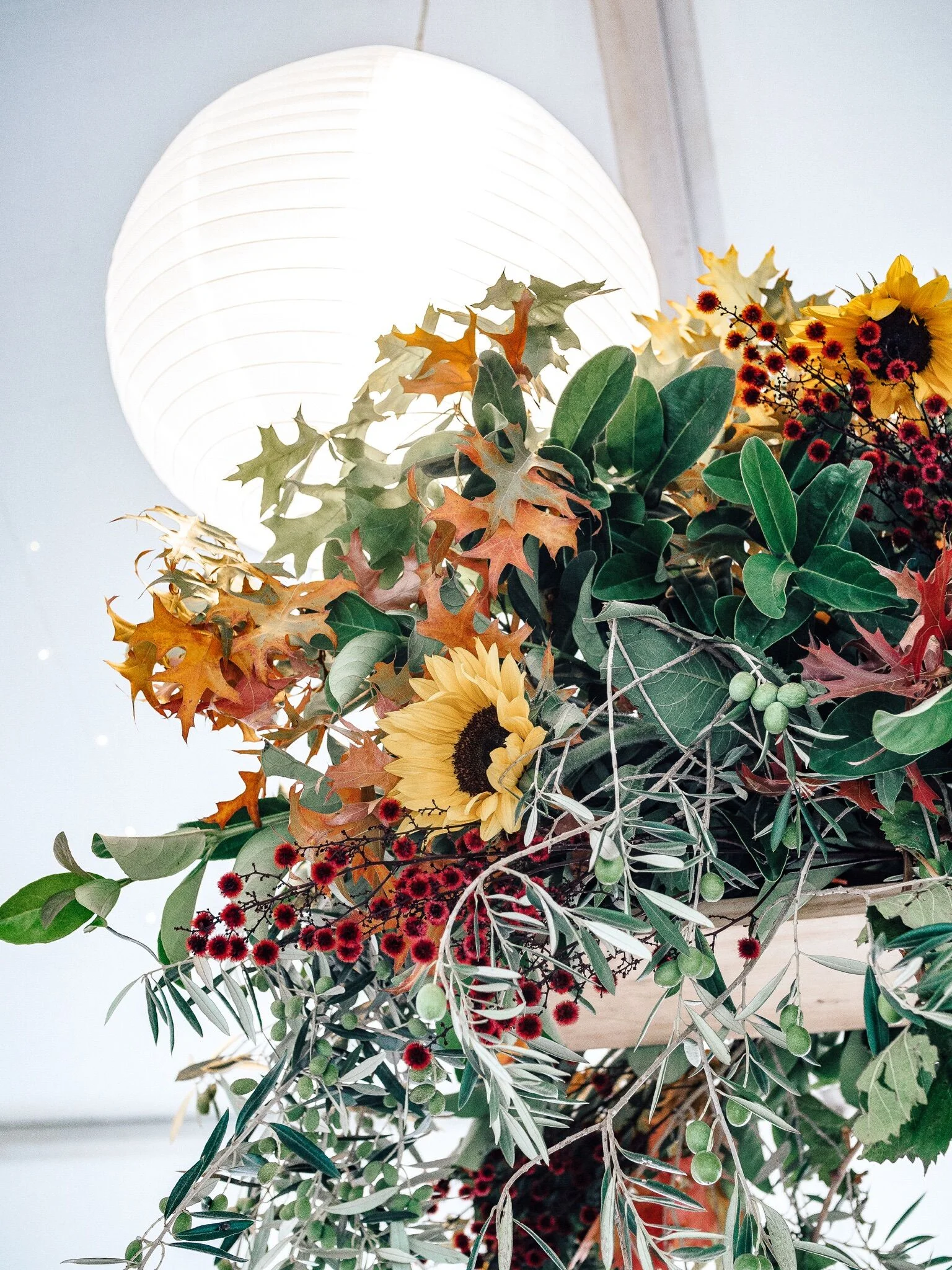 Real Event: Rowlee Wines