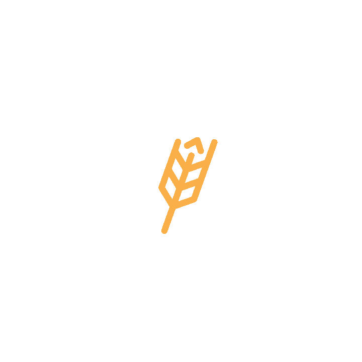 ECM-Brand-Partner.png