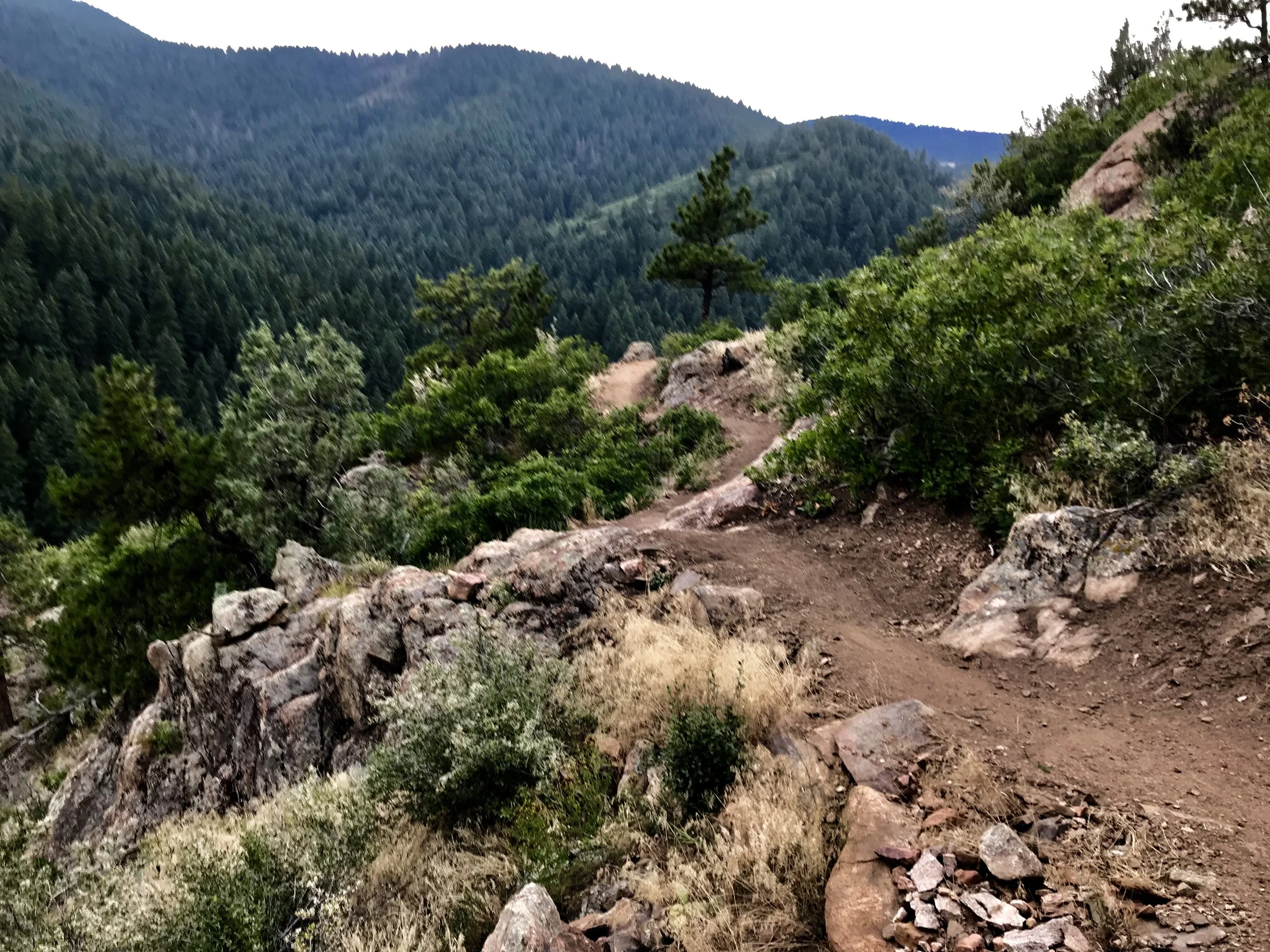 Black Bear Trail at Deer Creek Canyon, Ken Caryl, Colorado