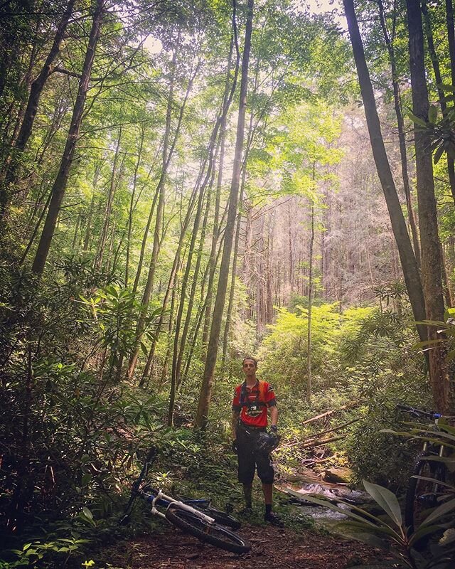 Four years ago I took my first trip to @mulberrygapmtb, and it was amazing!  Several days of lots of friends, food, beer, and biking! The dense, lush mountains of northwest Georgia were just what I had been missing while living in Florida. From the l