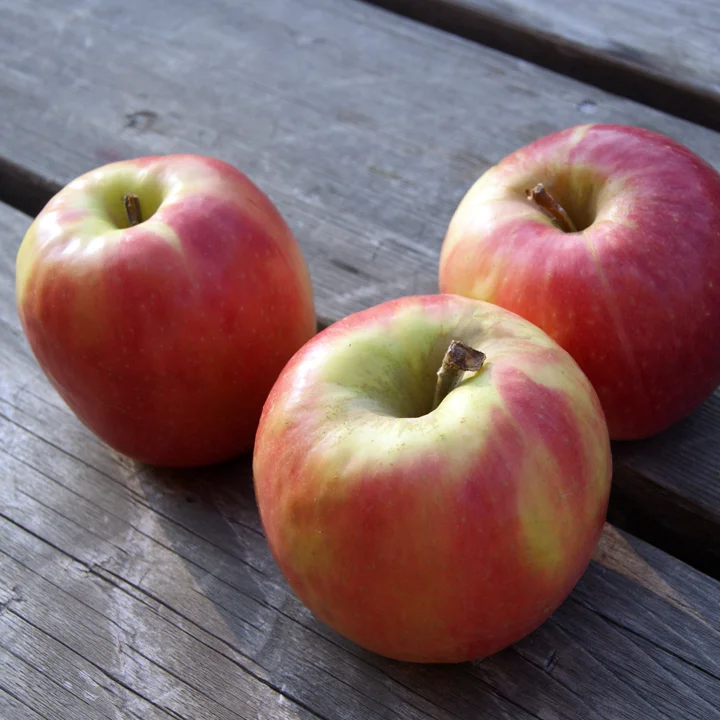 Apples