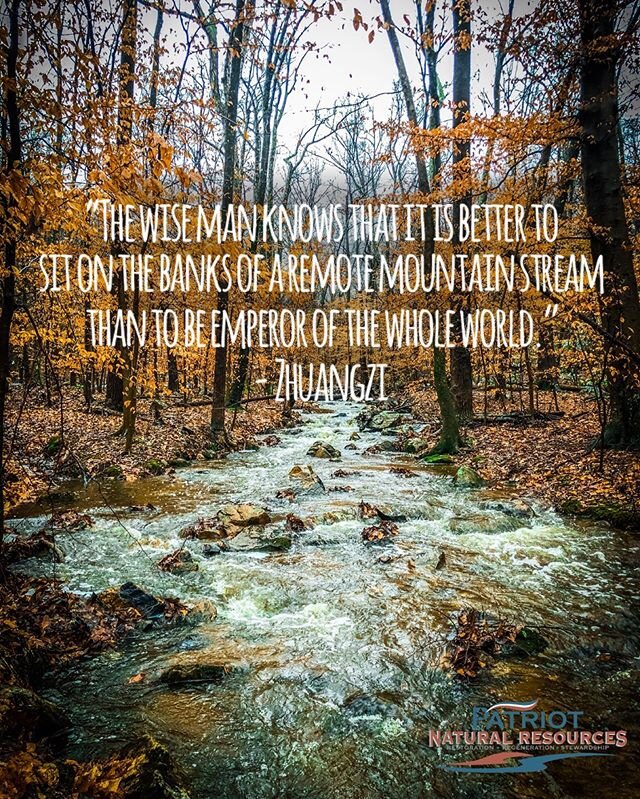 Sunday Reflection for a busy world. &ldquo;The wise man knows that it is better to sit on the banks of a remote mountain stream than to be emperor of the whole world.&rdquo; - Zhuangzi
#stream #mountainstream #sundayreflection #chesapeakebay #landste