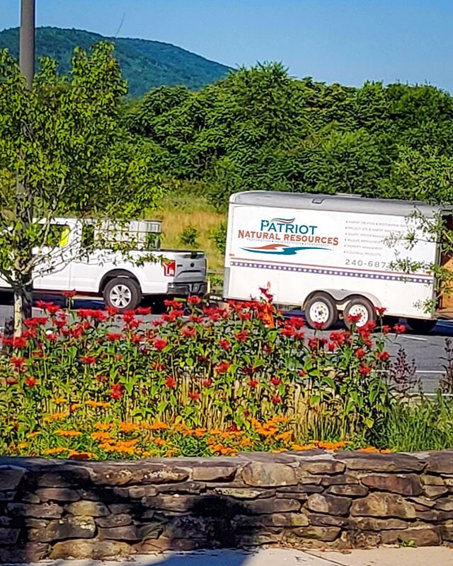 What a beautiful day in the field and a great end to national pollinator week. Patriot Enhancement &amp; Maintenance crews are out and about maintaining native pollinator plantings done last year on area rest areas &amp; visitors centers. A year alre