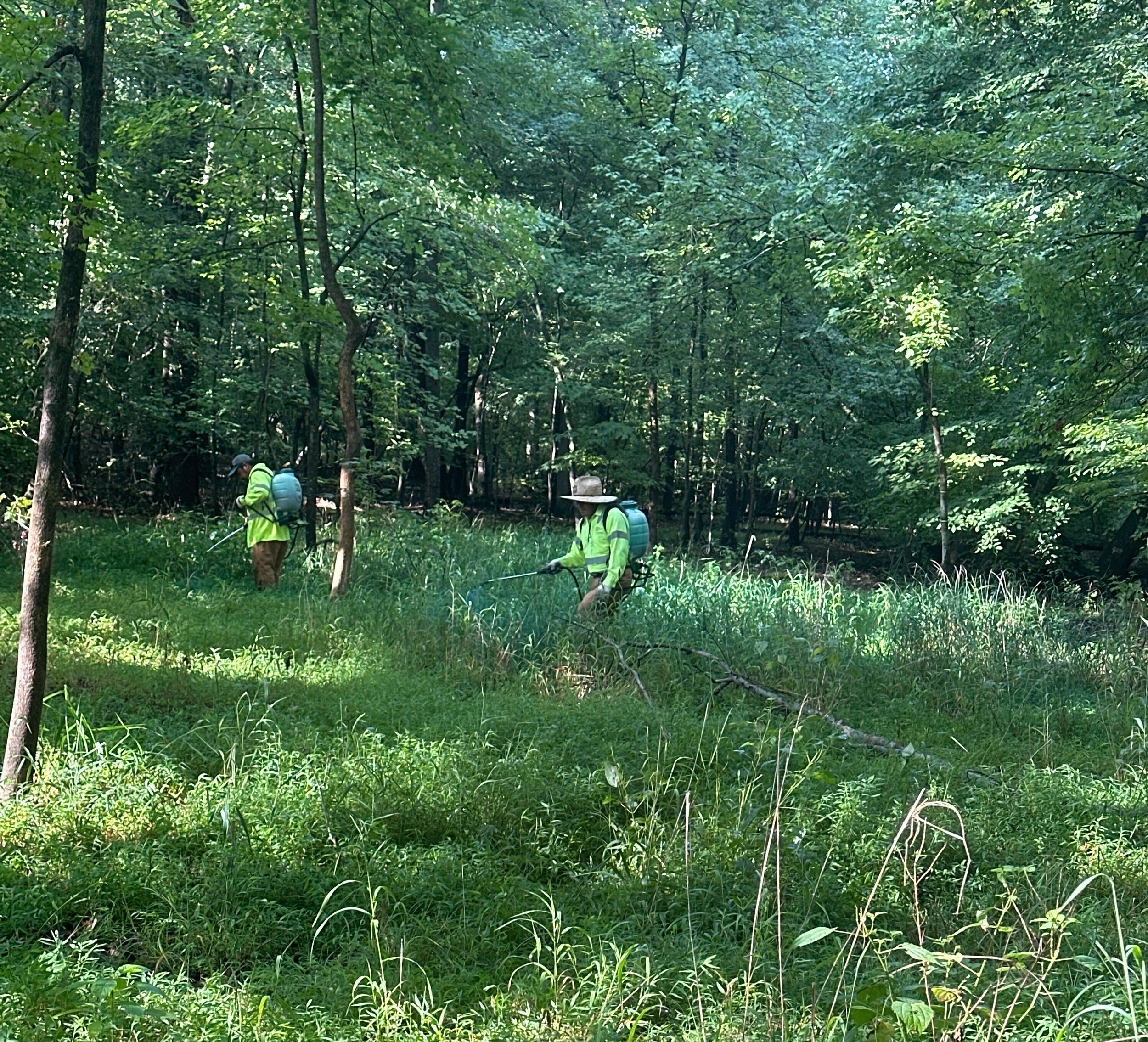 Non-Native Invasive Species