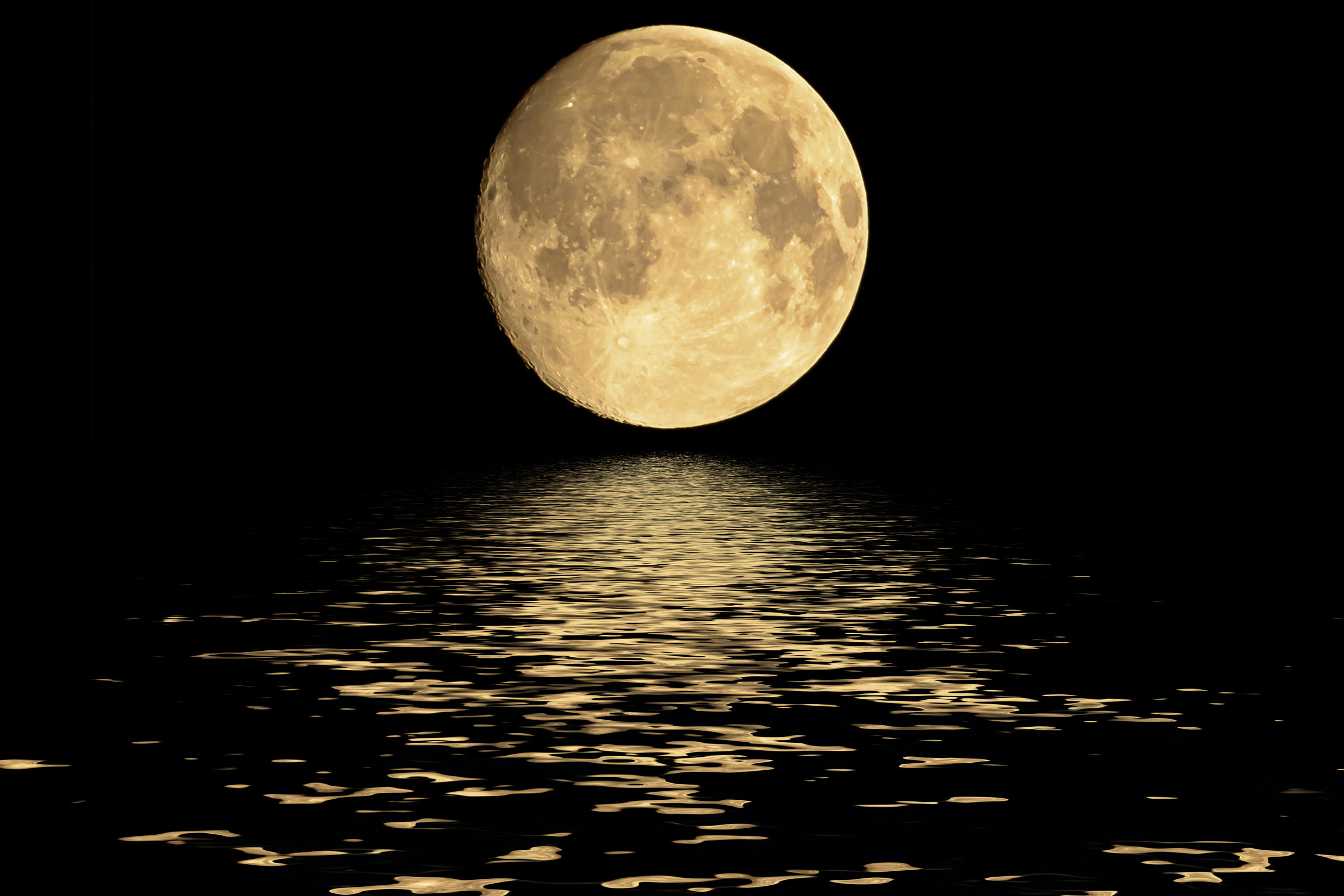 shutterstock_330329603.jpg